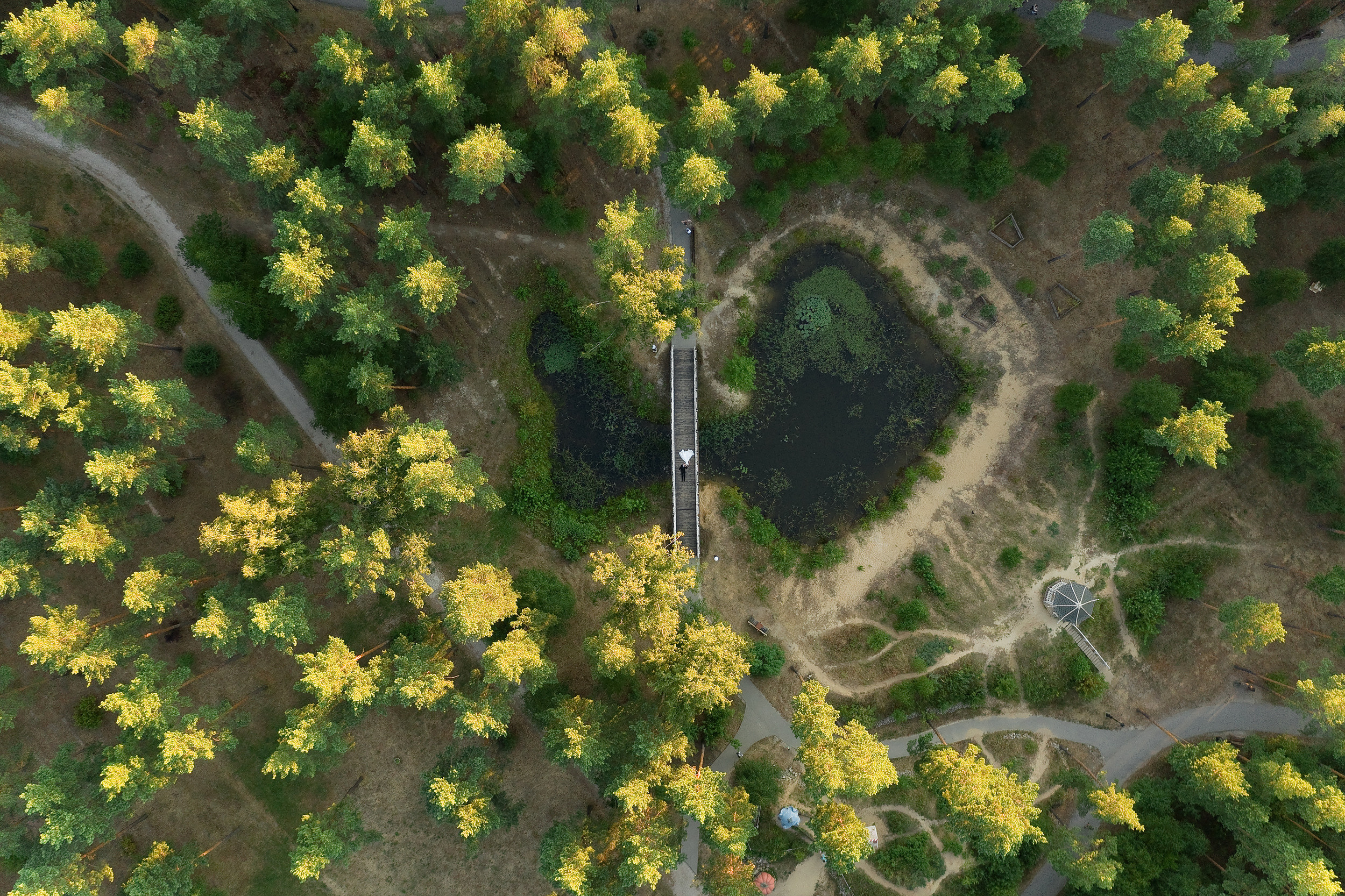 Александр и Алина. Главная