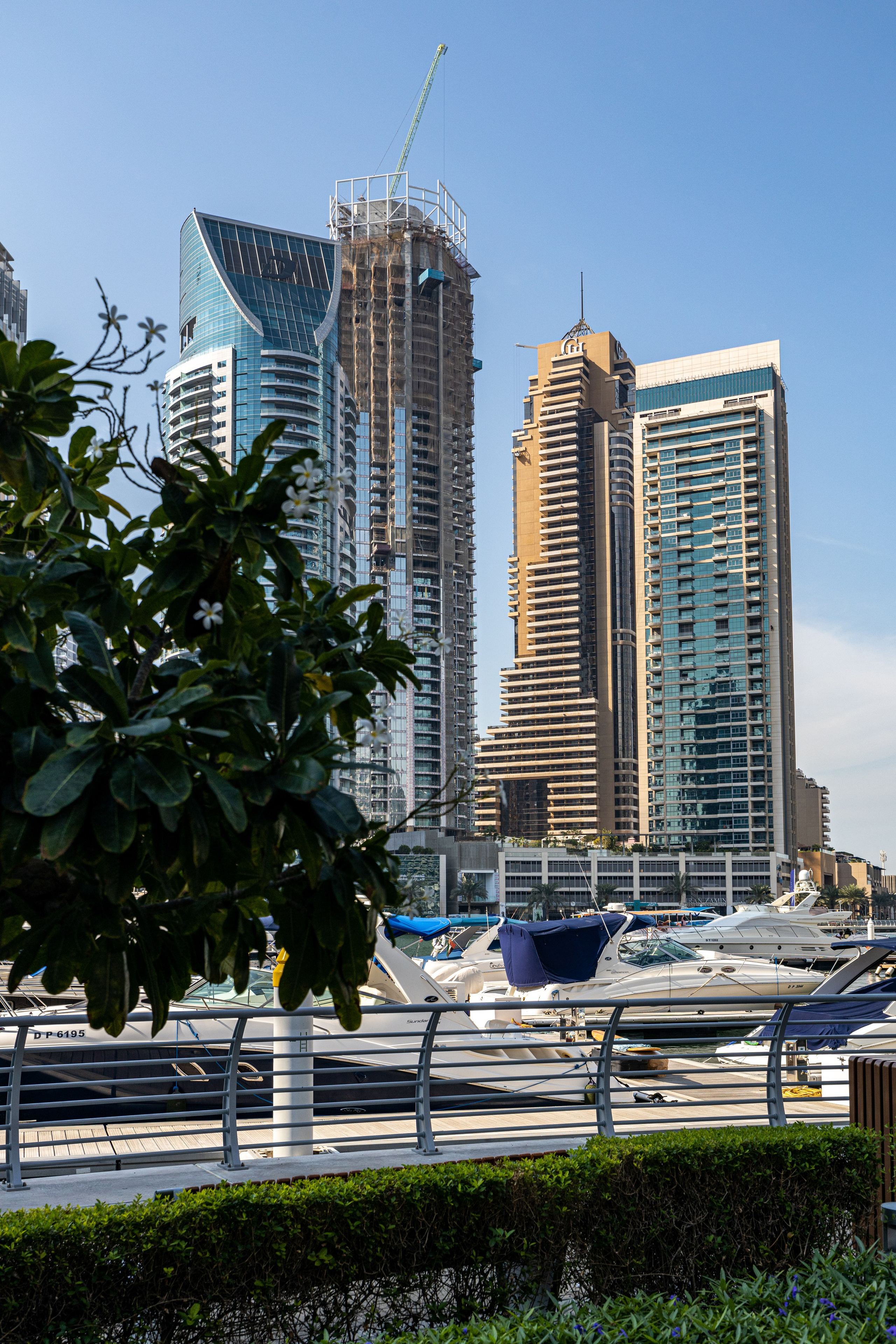 Новогодняя поездка в Дубай. Фотографирую жизнь! Московский фотограф волонтер