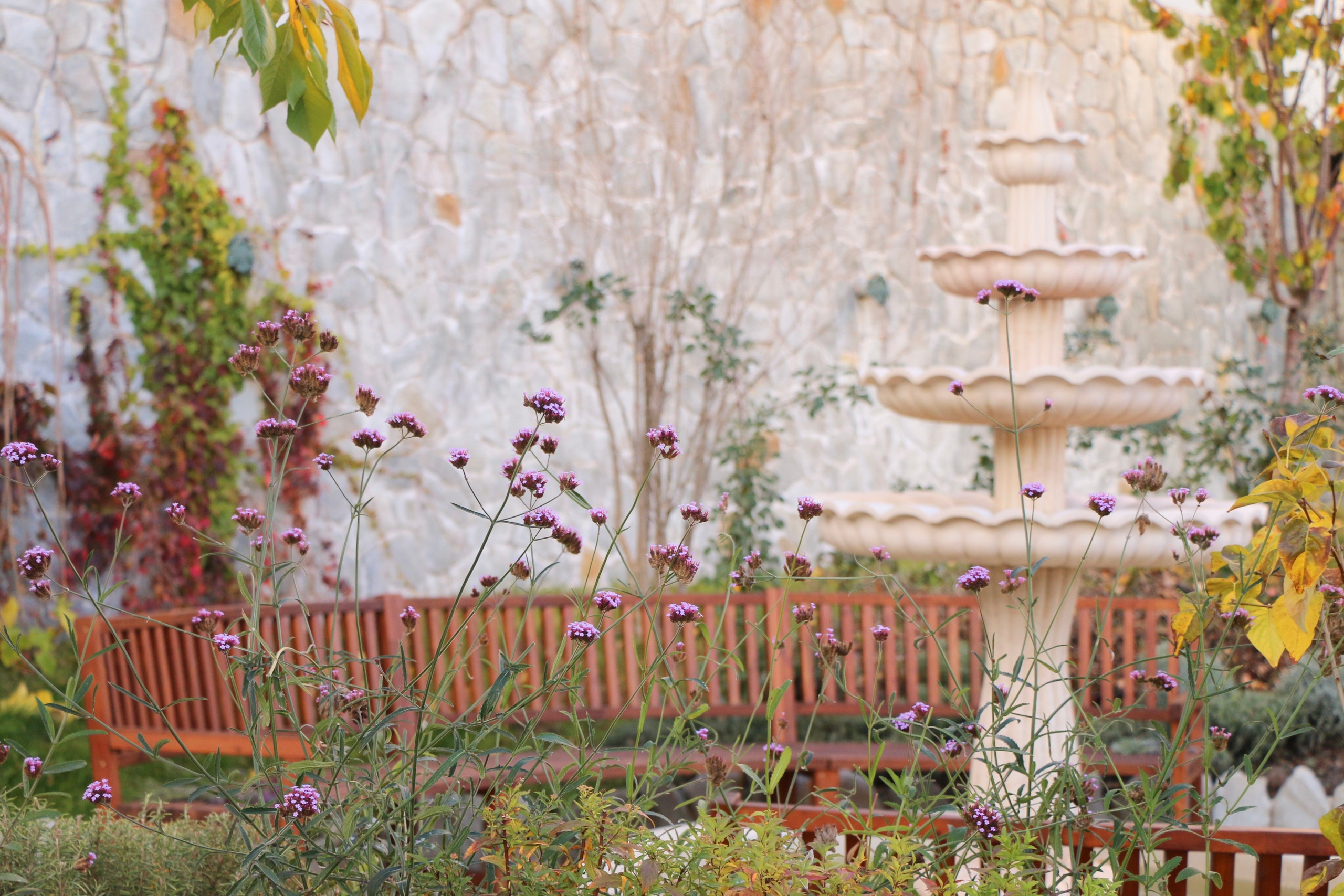 Природа. Семейный и детский фотограф в Ялте Ольга Солерина