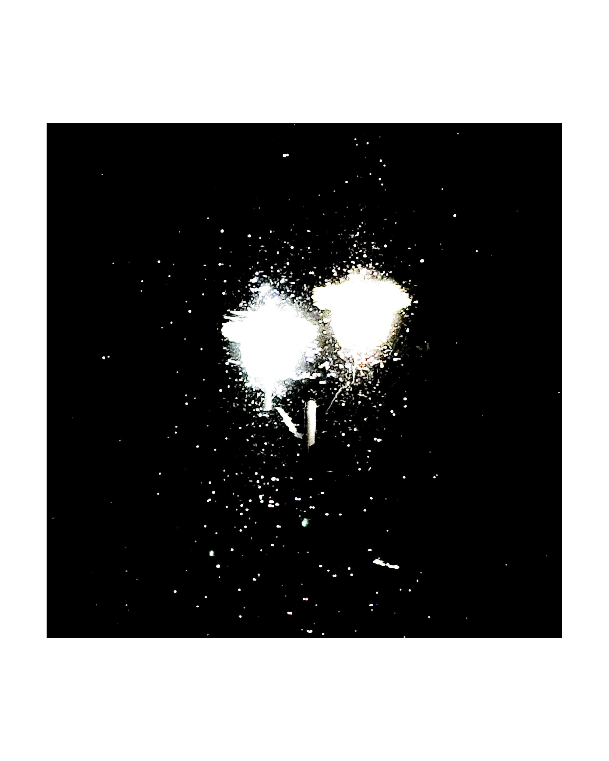 Mobile street art. Портретный фотограф в Москве