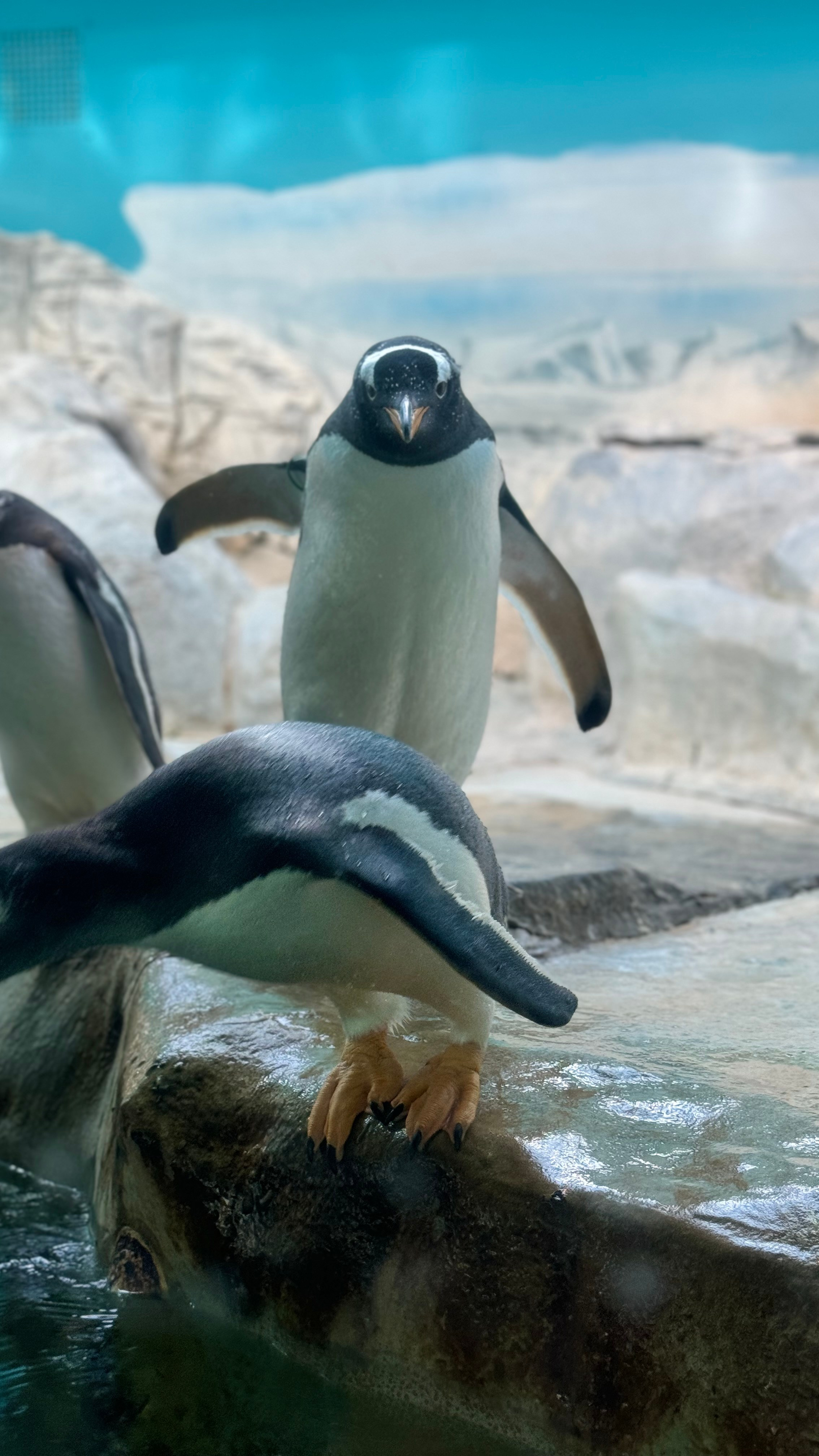 Приглашаем в арт-лагерь в Москве для детей!. Арт-вечеринки и мастер-классы в Москве для взрослых и детей