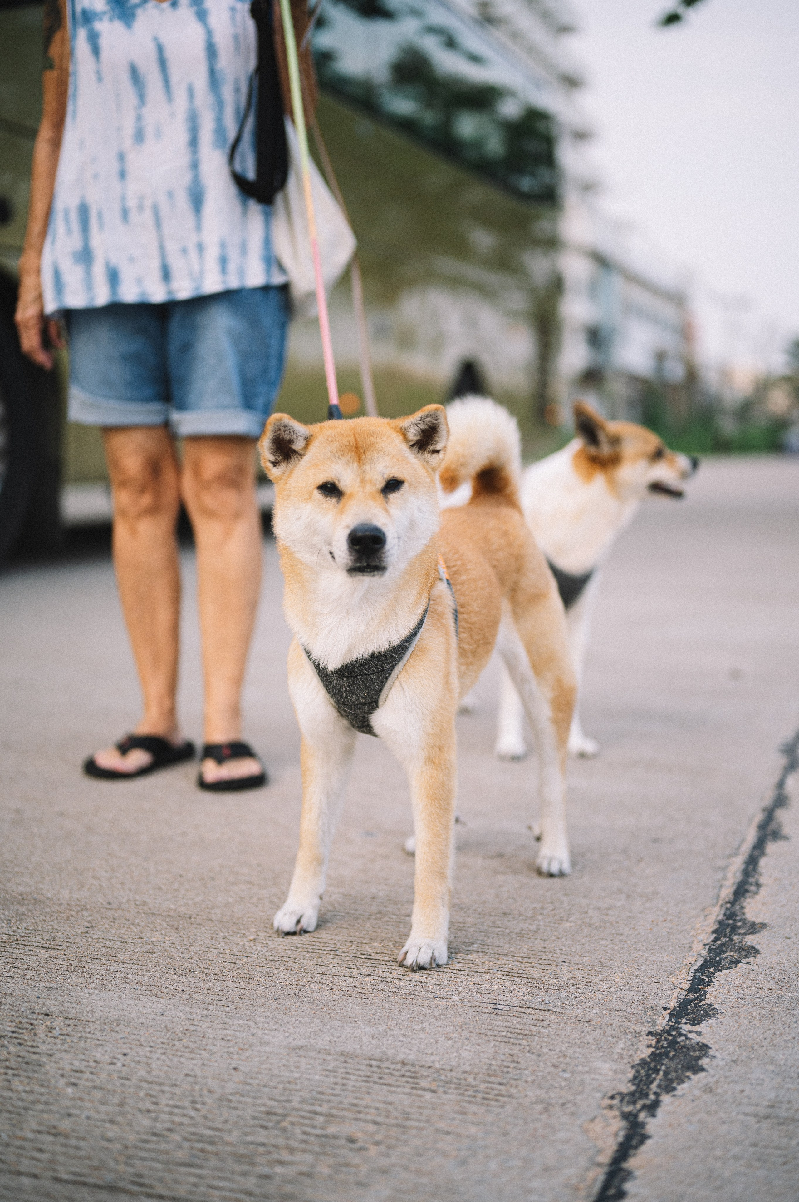 Street photography. Фотограф Иркутск Лепетанова Марианна