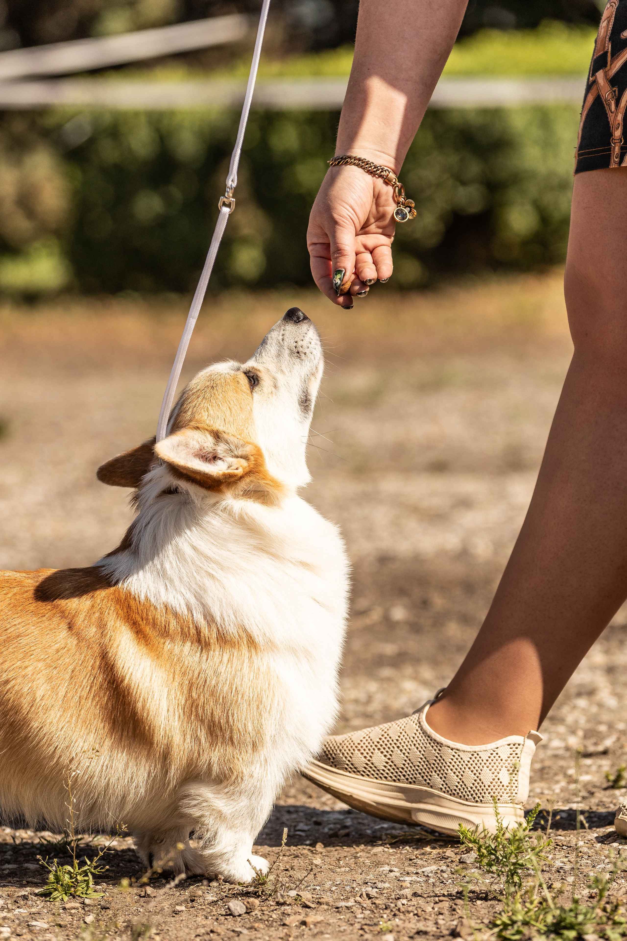 Репортаж (фото с выставок). Фотограф-АниМалист Анна Абрамова