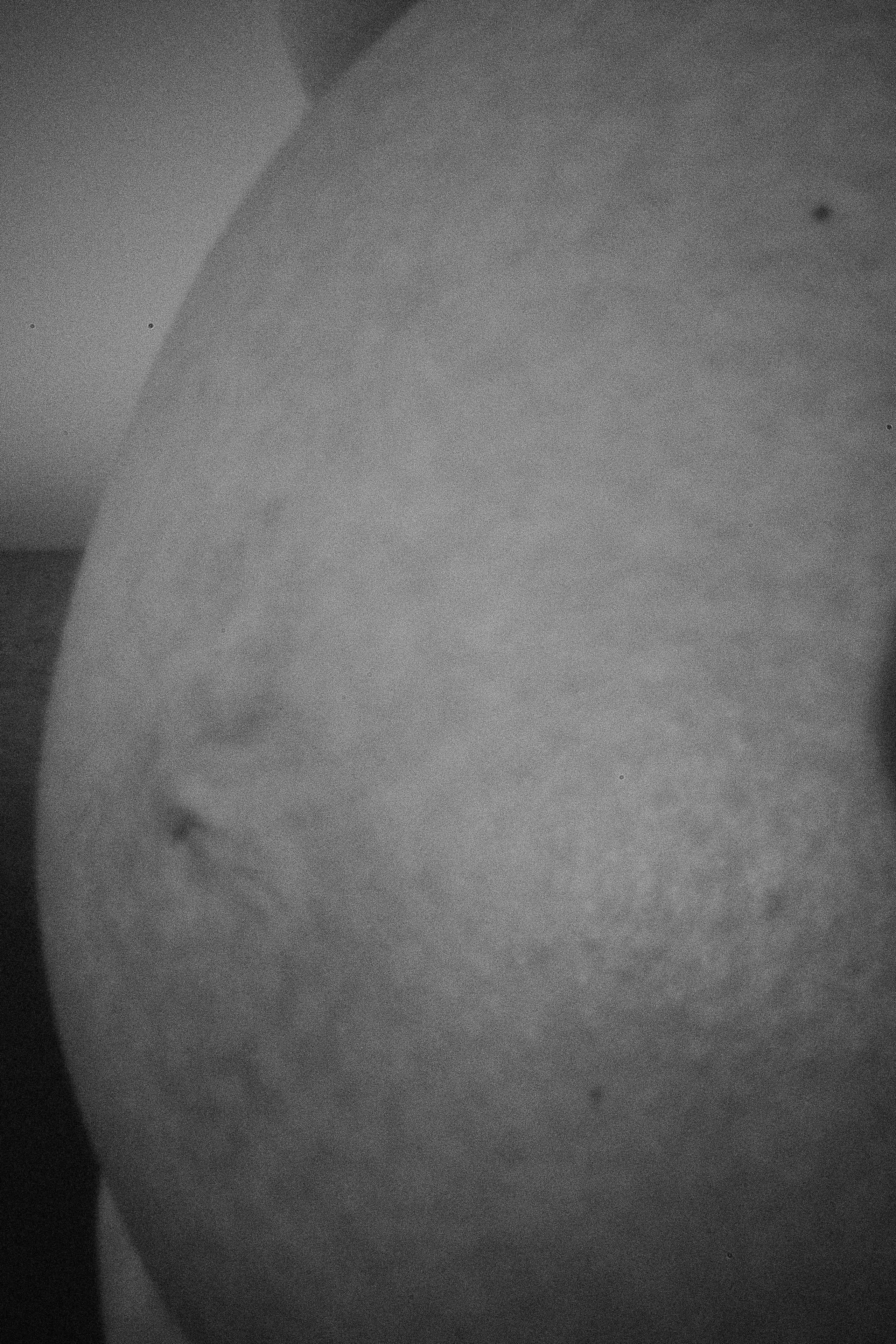 Беременность. Семейный фотограф Новосибирск Фотограф на выписку Новосибирск