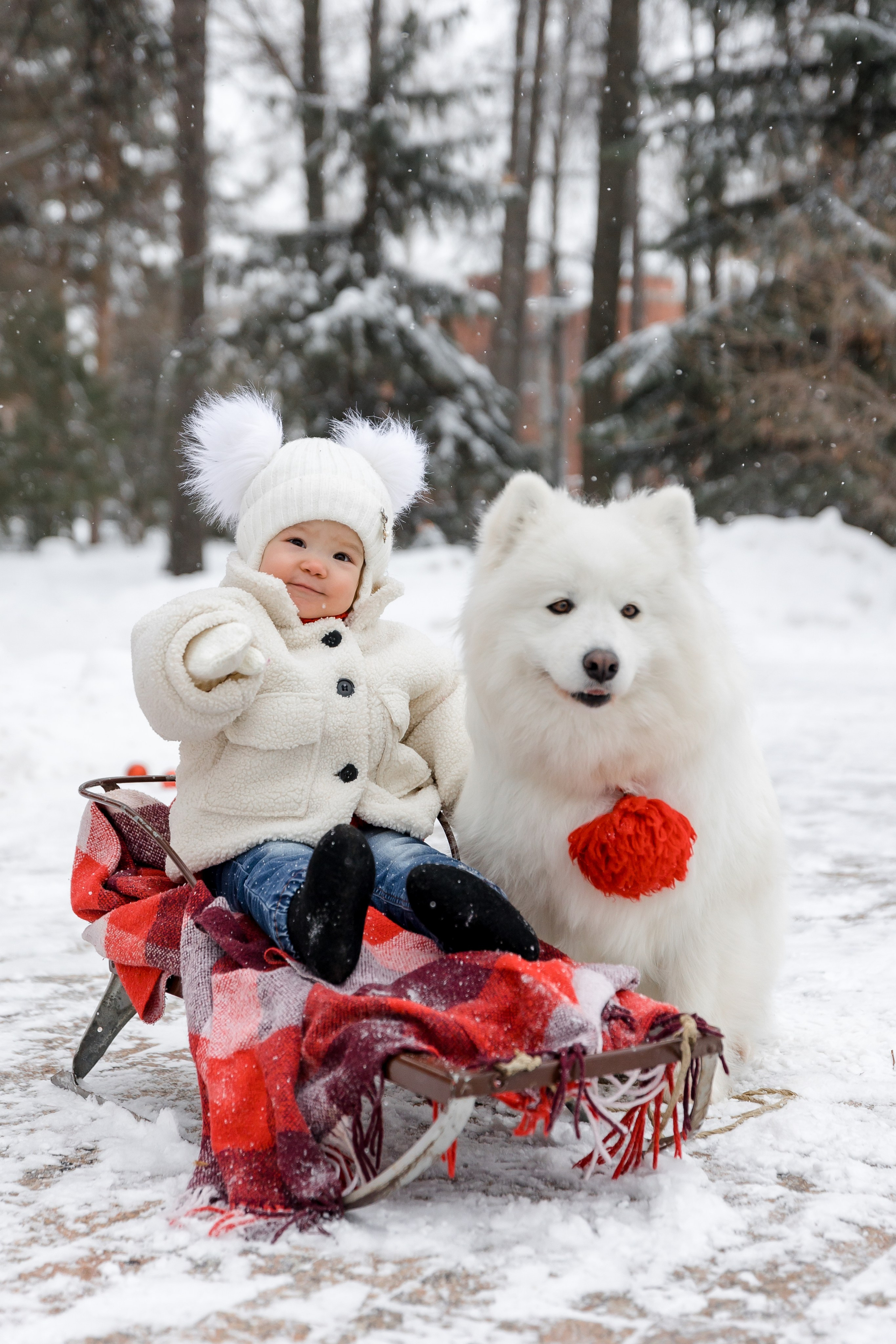 САМОЕДЫ. Свадебный и семейный фотограф Динар Гильмутдинов