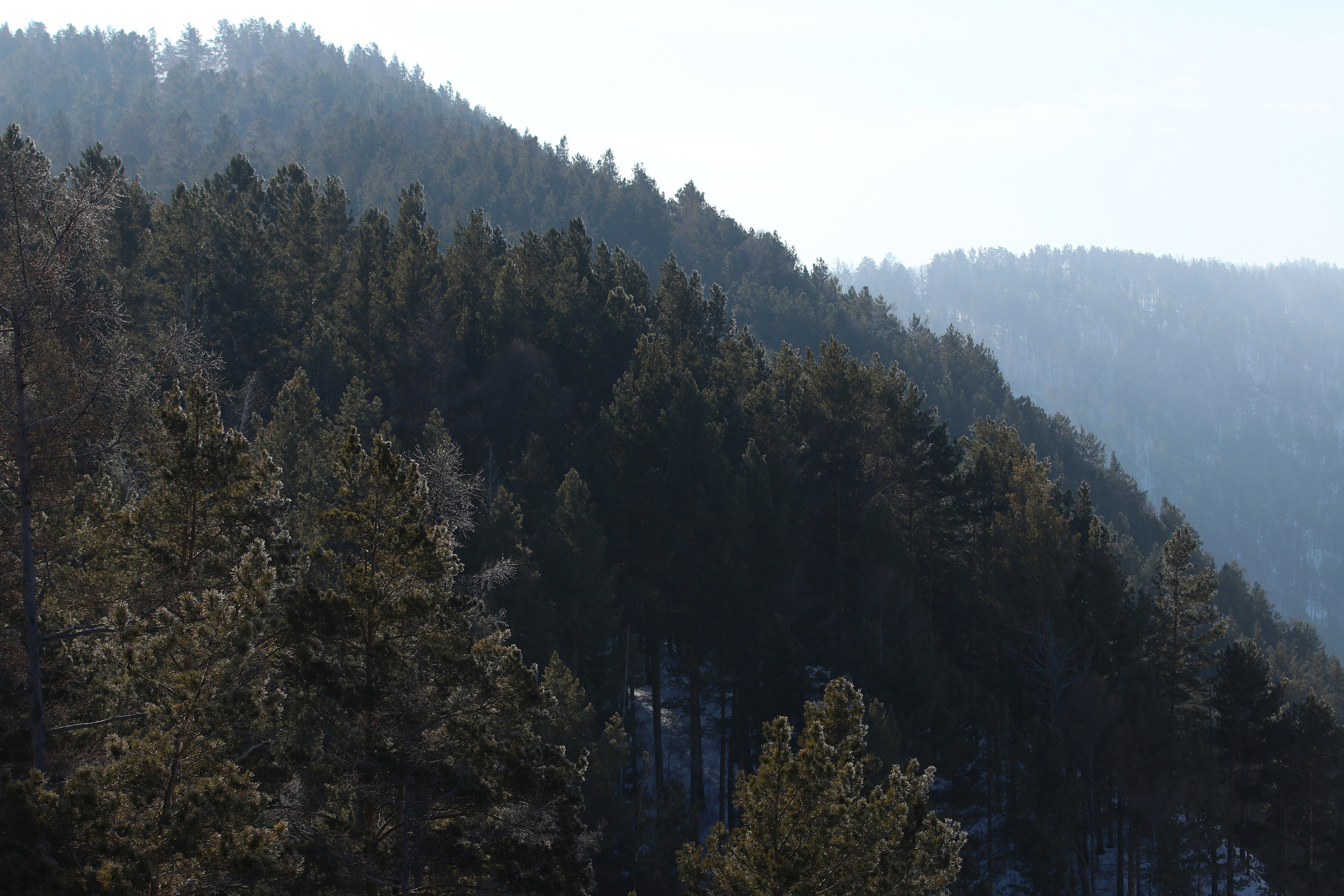 Аршан. Февраль 2025. Путешественник-фотограф из Санкт-Петербурга Татьяна Свистулина