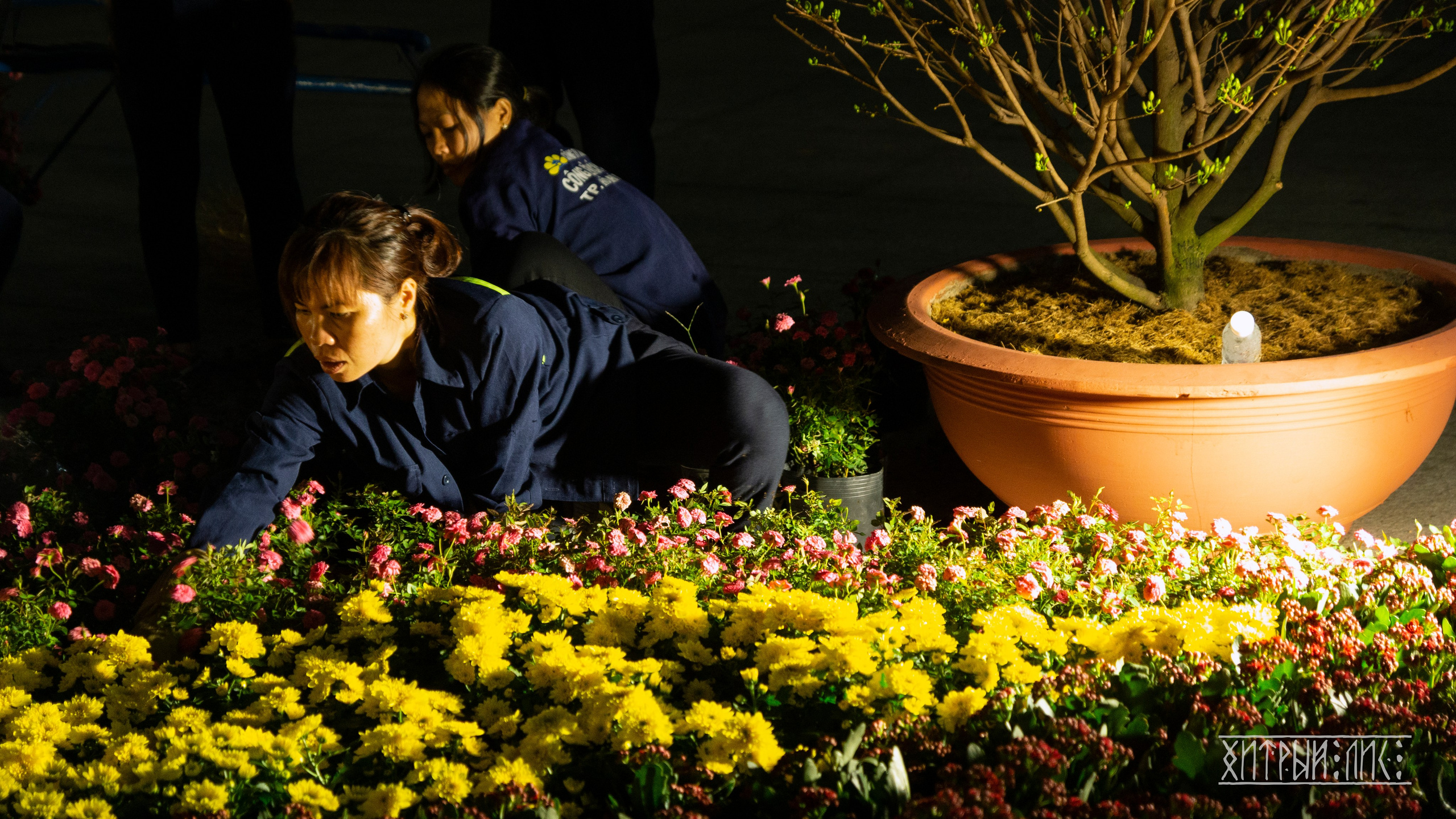 Вьетнам. Фотограф-путешественник Самойлов Максим «Sly Fox»