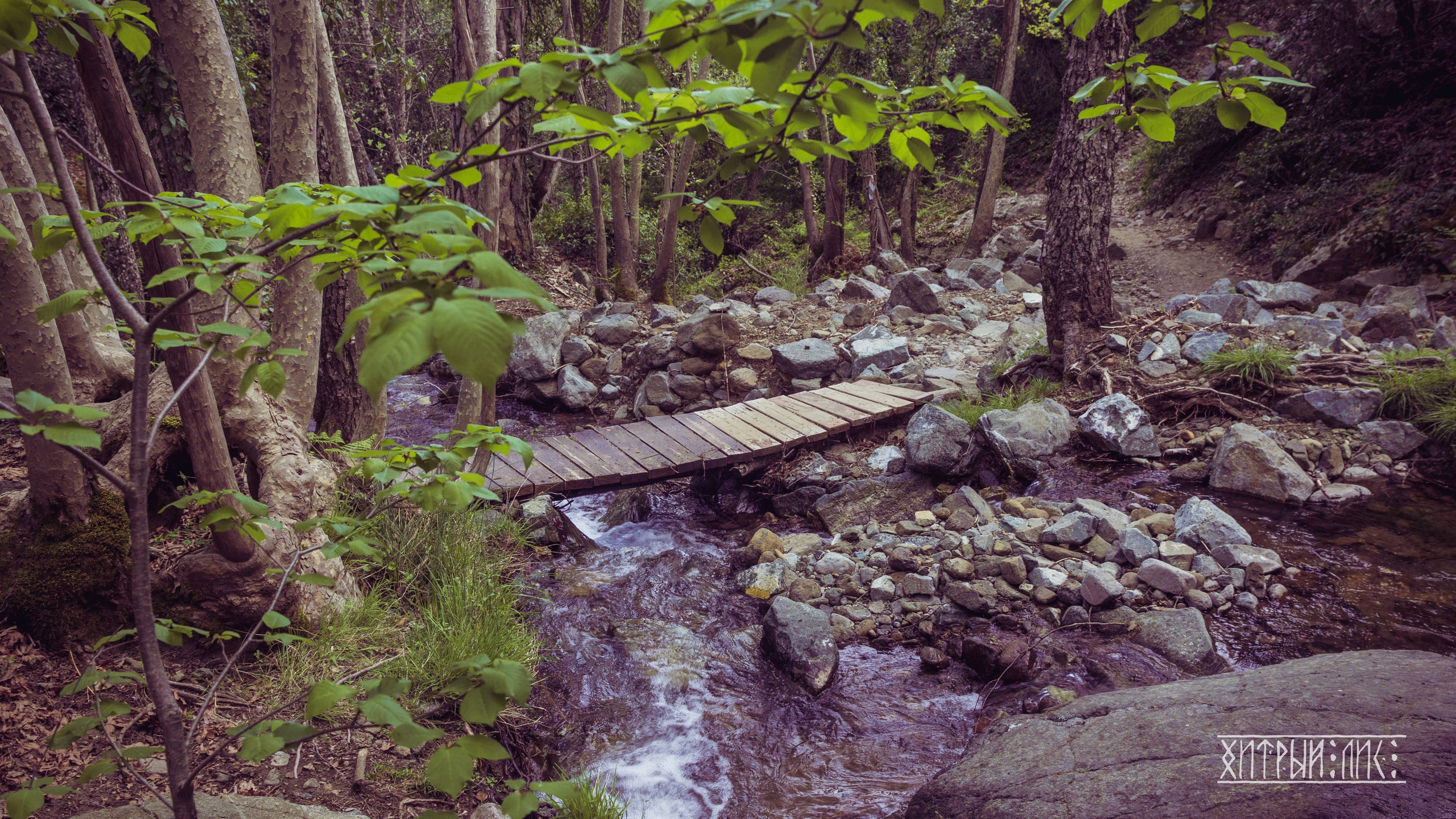 Кипр. Фотограф-путешественник Самойлов Максим «Sly Fox»