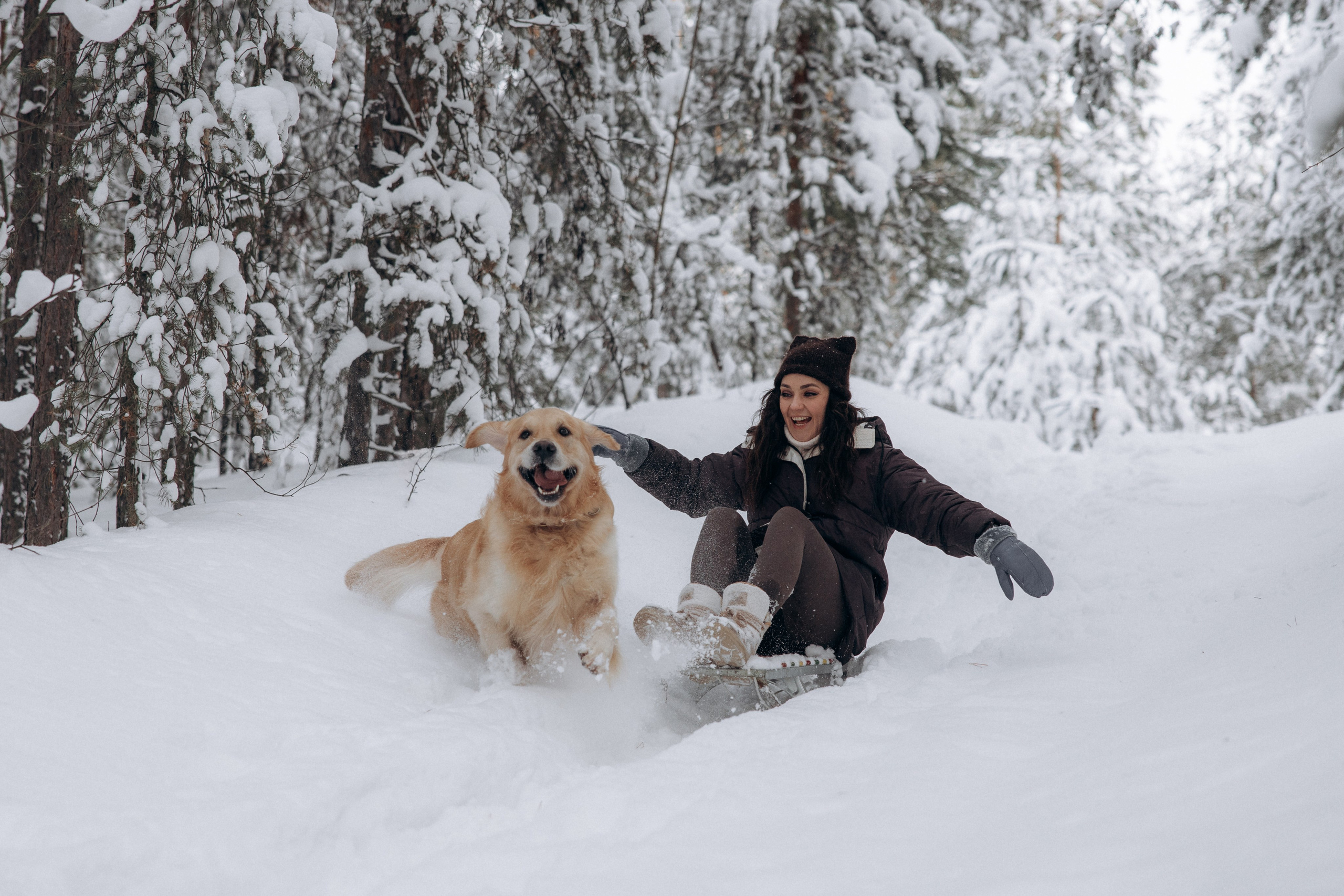 Зимняя история, Света и Чарли. Фотограф анималист в Казани Алина Сулейманова. Фотограф животных