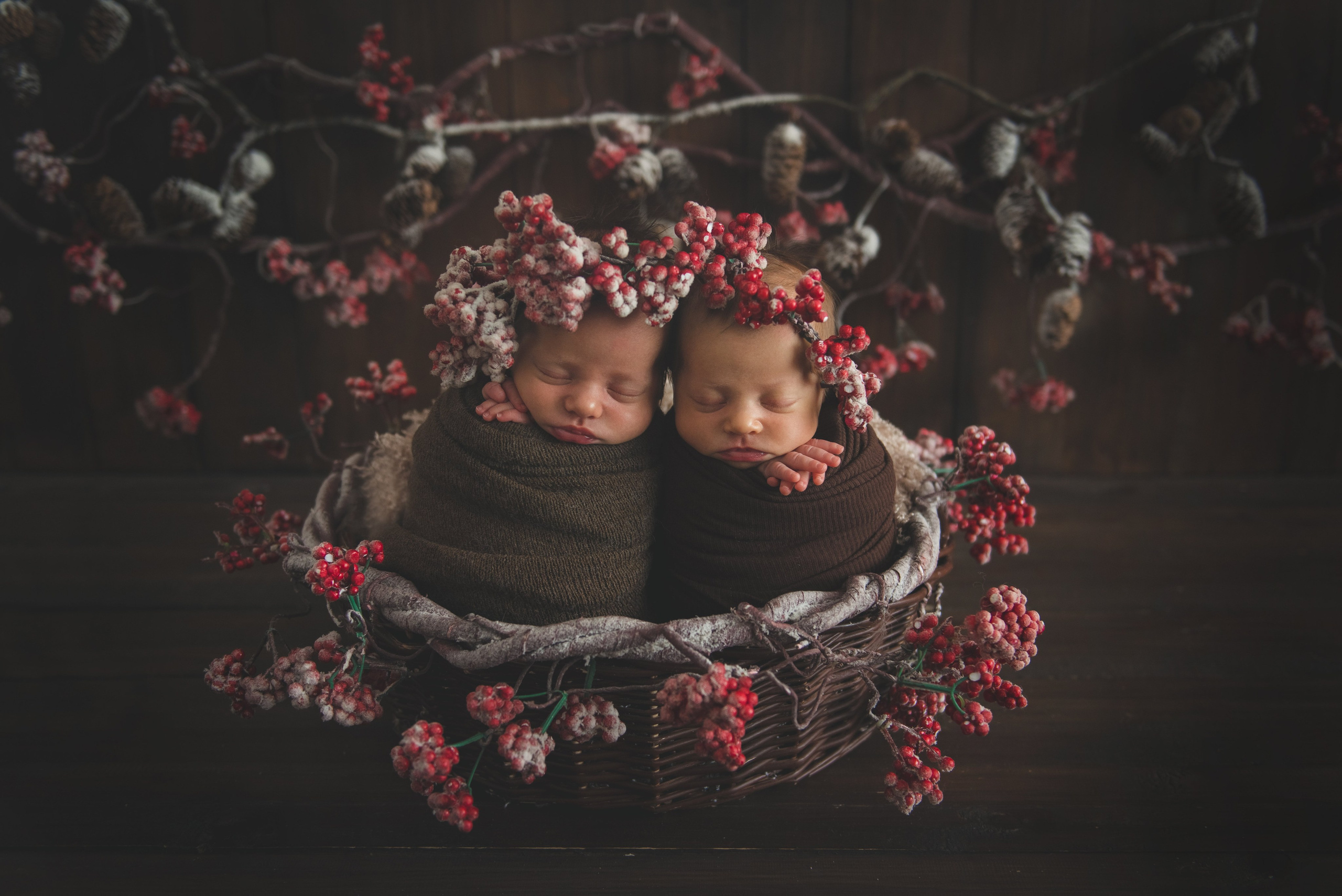 Новый год. Фотограф новорожденных и детей в Барнауле — Екатерина Шапкина