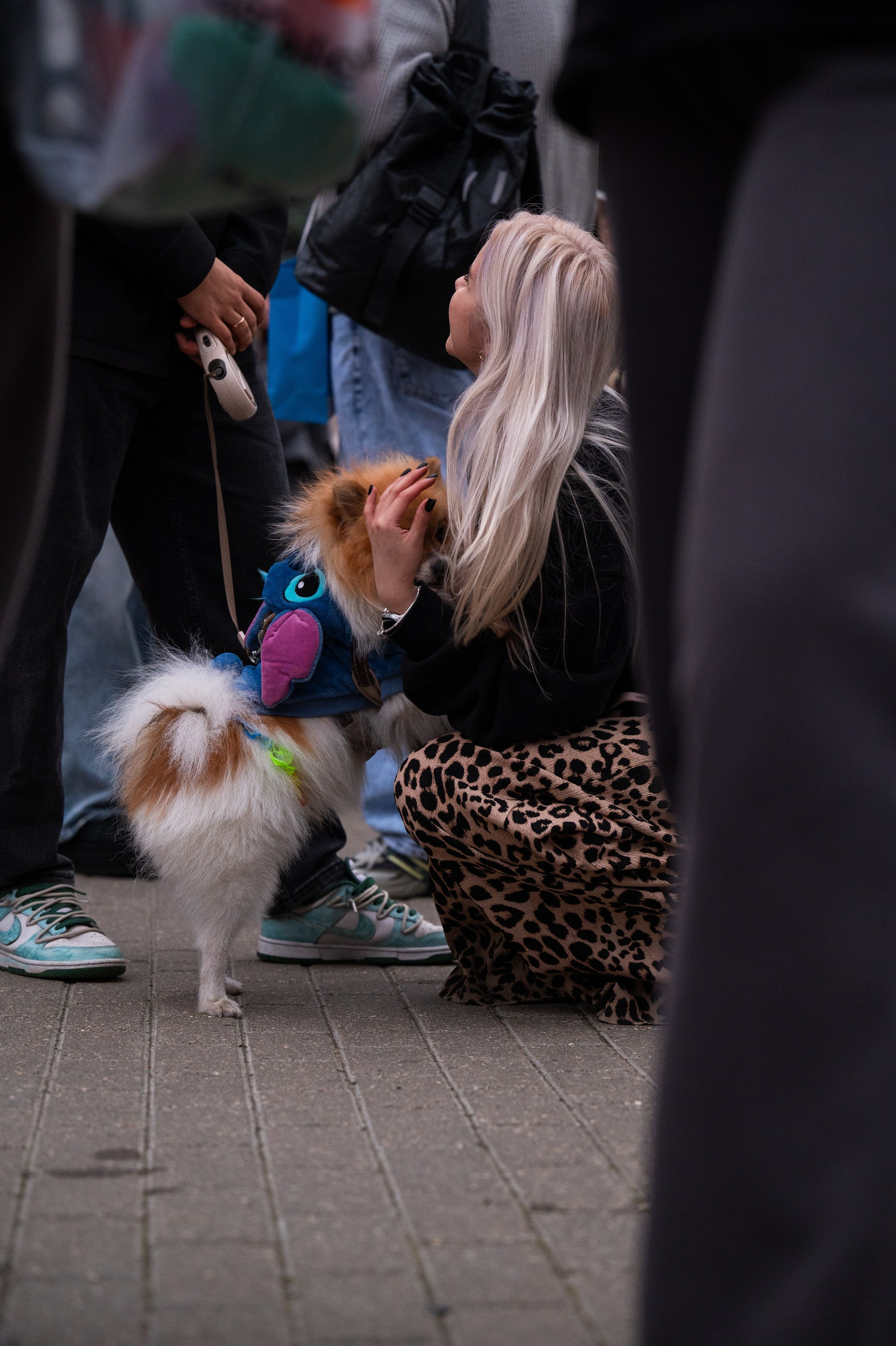 4lapy fest 2025. Photographer in Moscow Anna Chistiakova