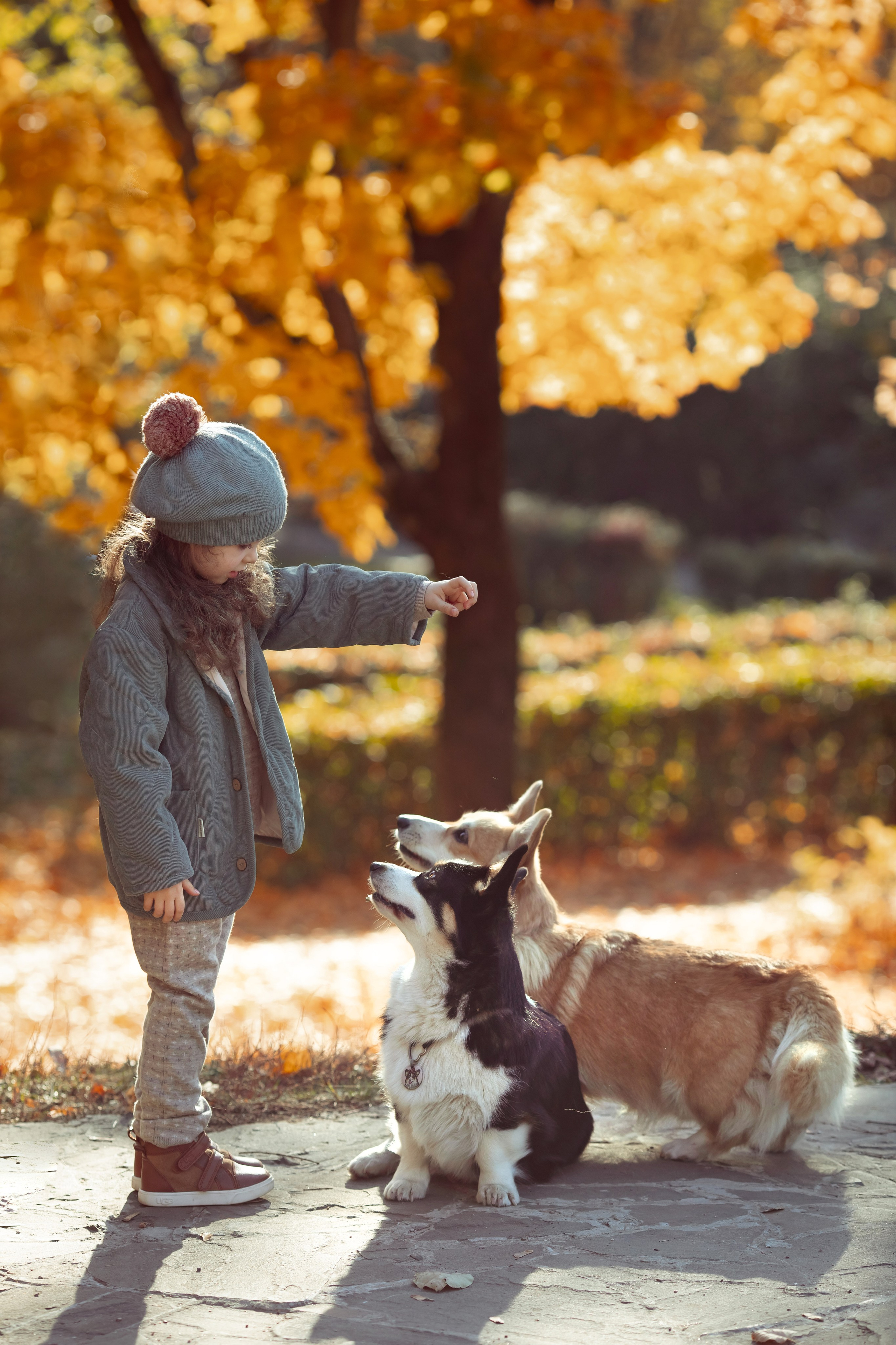 Эва с корги. Семейный и детский фотограф в Москве Дорогова Екатерина