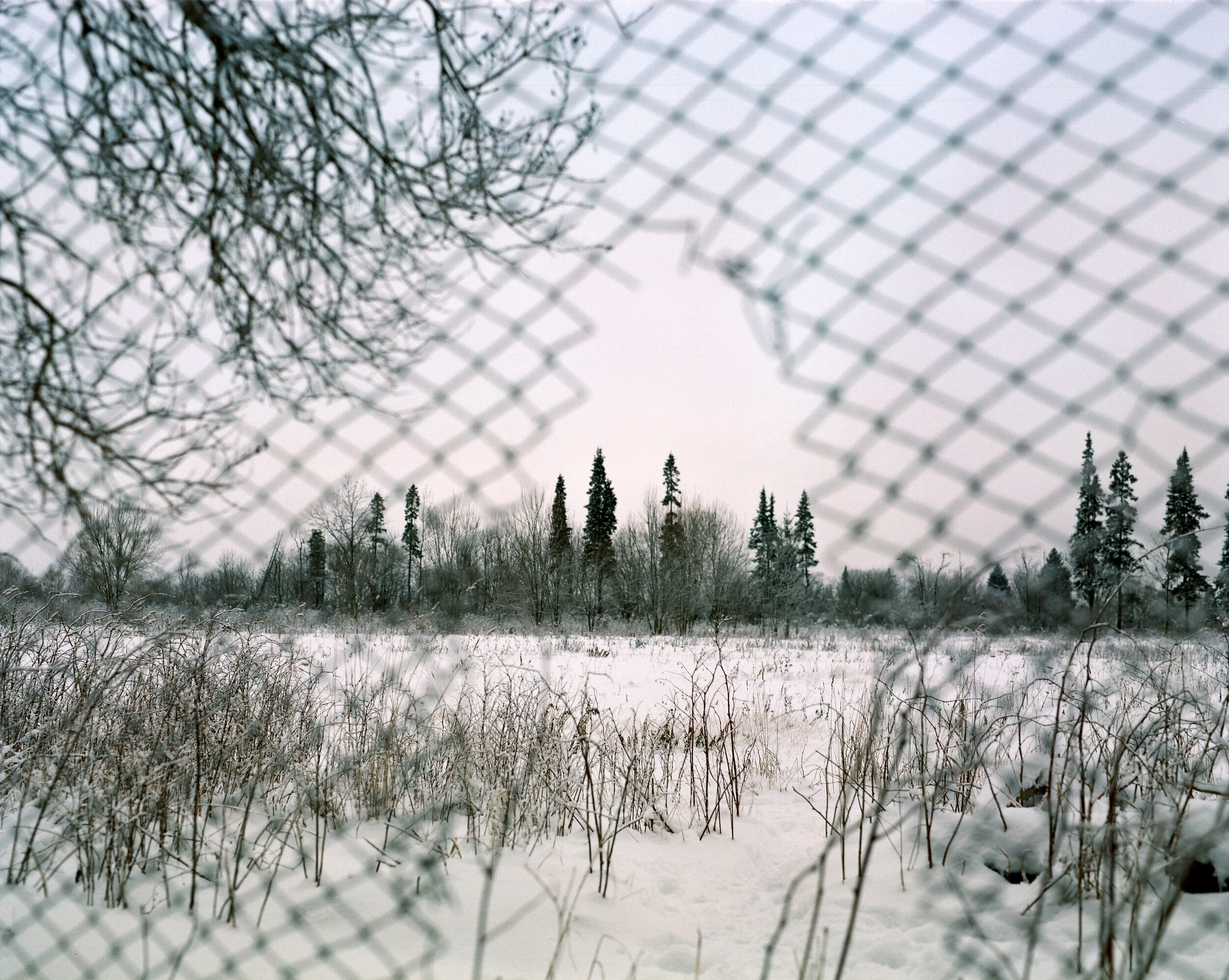 Дневник каньона. Екатерина Васильева художник, куратор и преподаватель