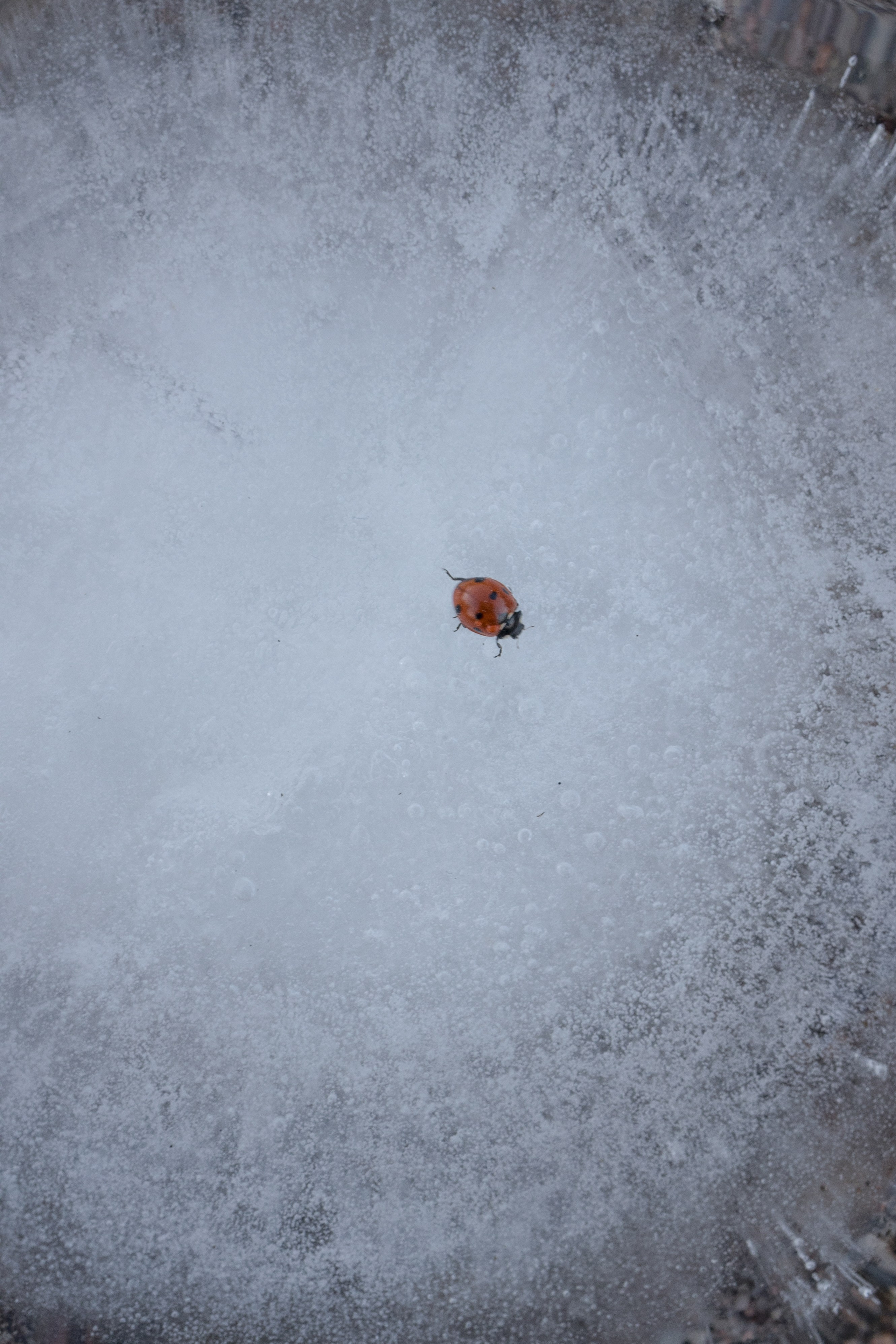 Шрамы земли. Sasha Ivanov — Documentary photographer