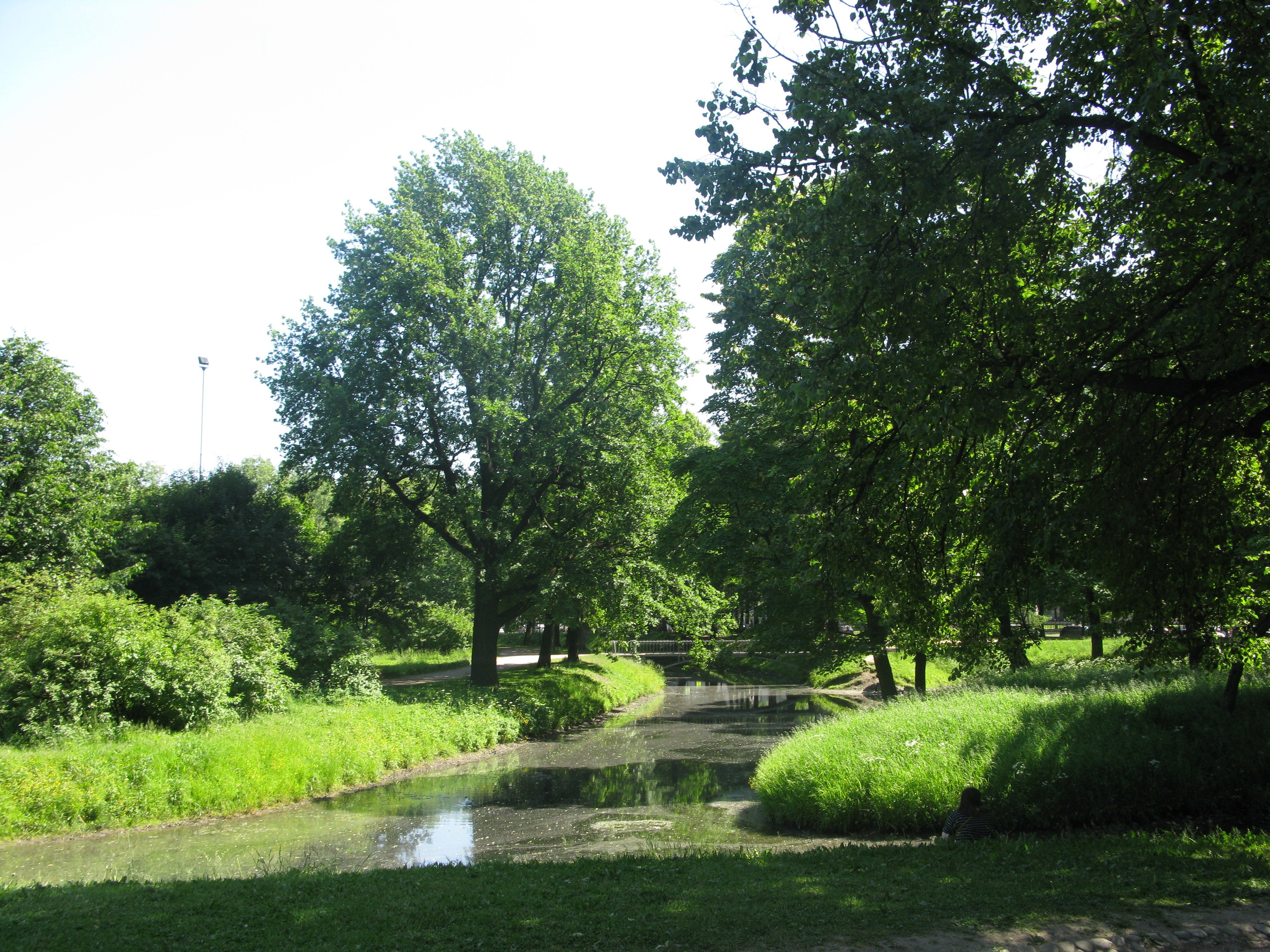 Портфолио. Фотограф в Москве Александра