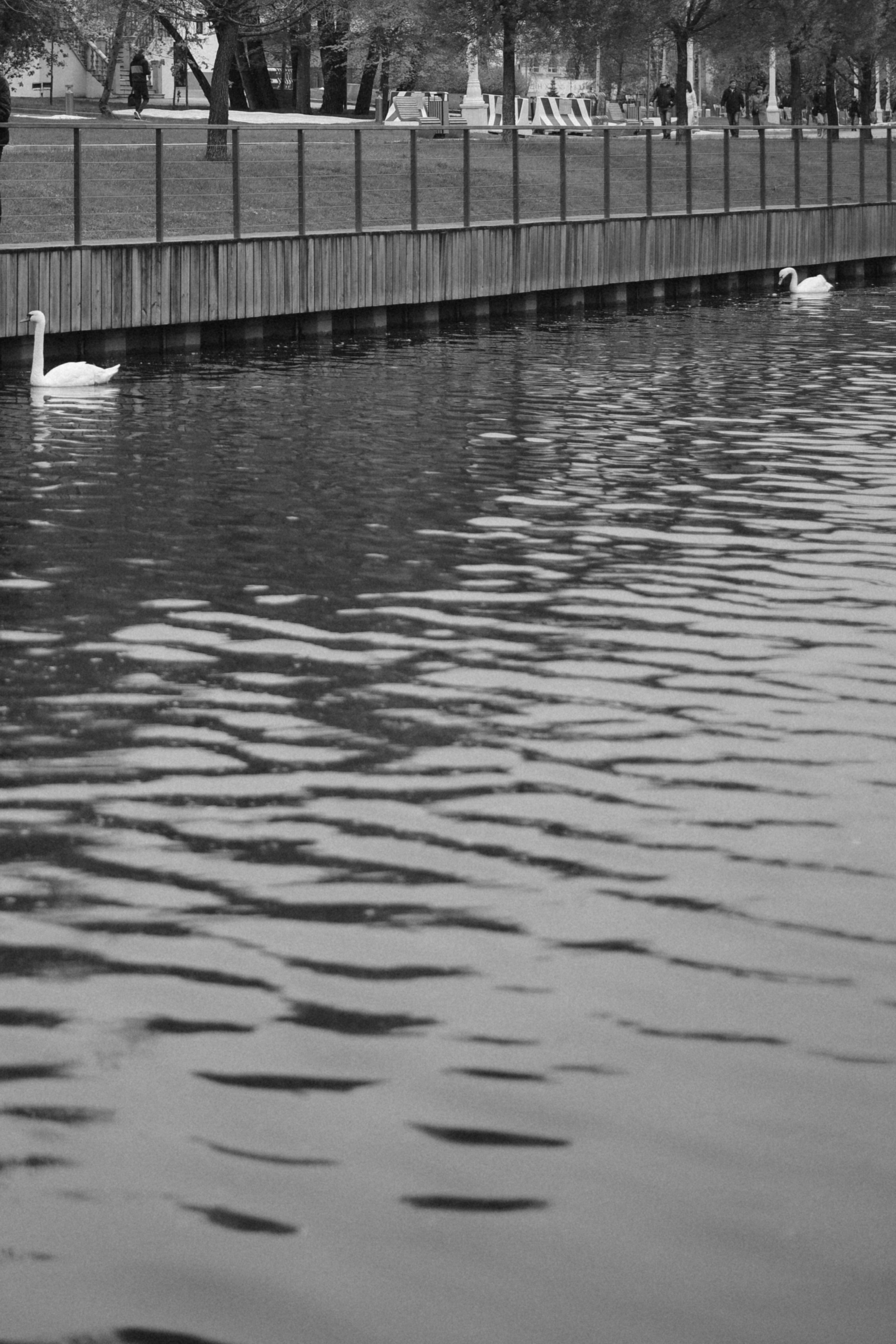 Майский снег. Фотограф Лола Волна, город Москва
