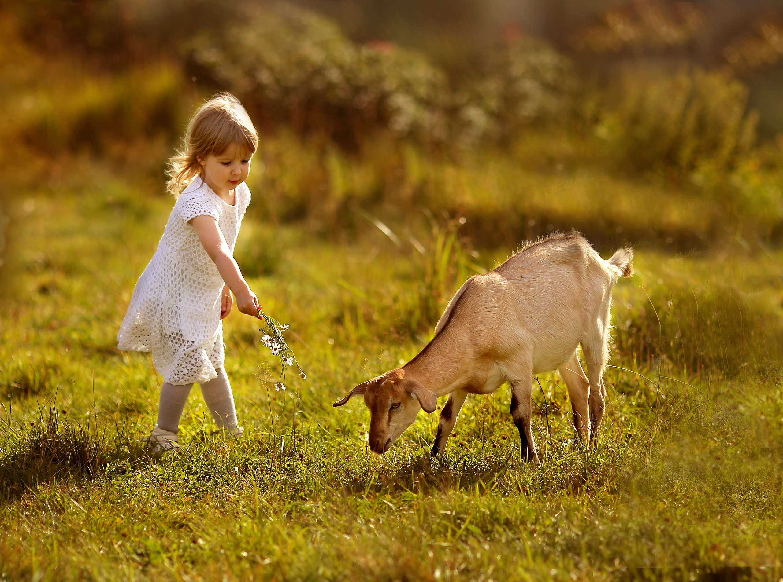 Детская фотосъемка. Главная