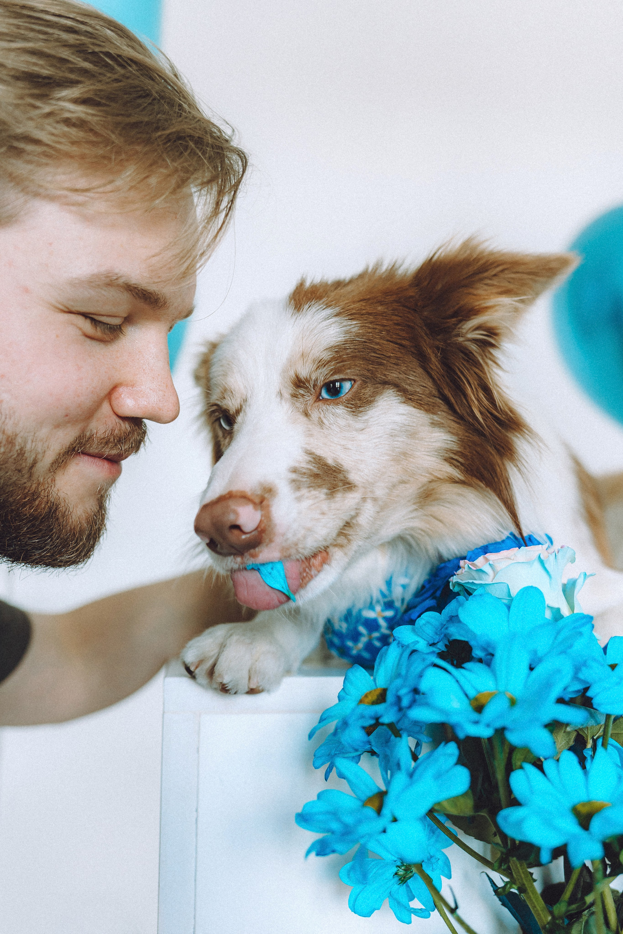 День рождения Айко