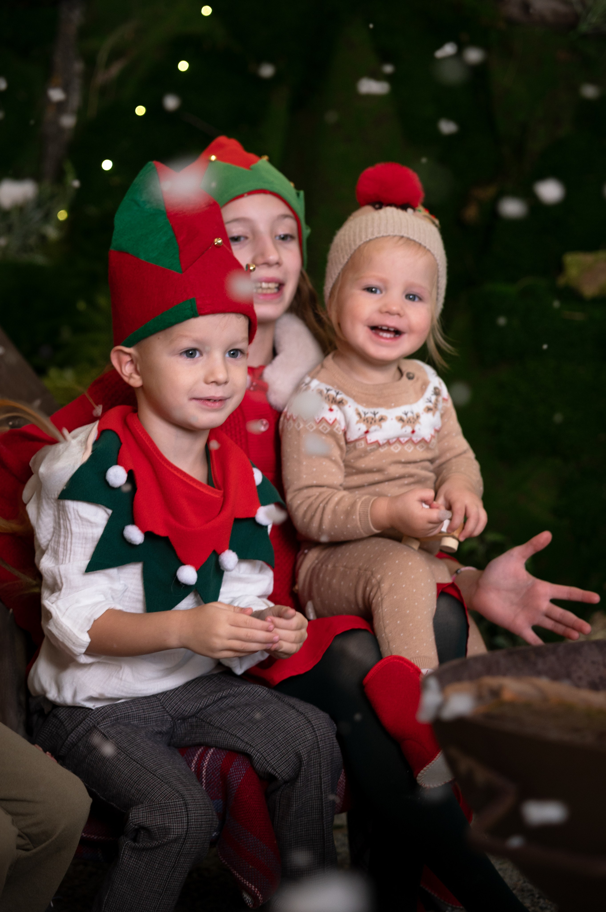 Гномики. Главная