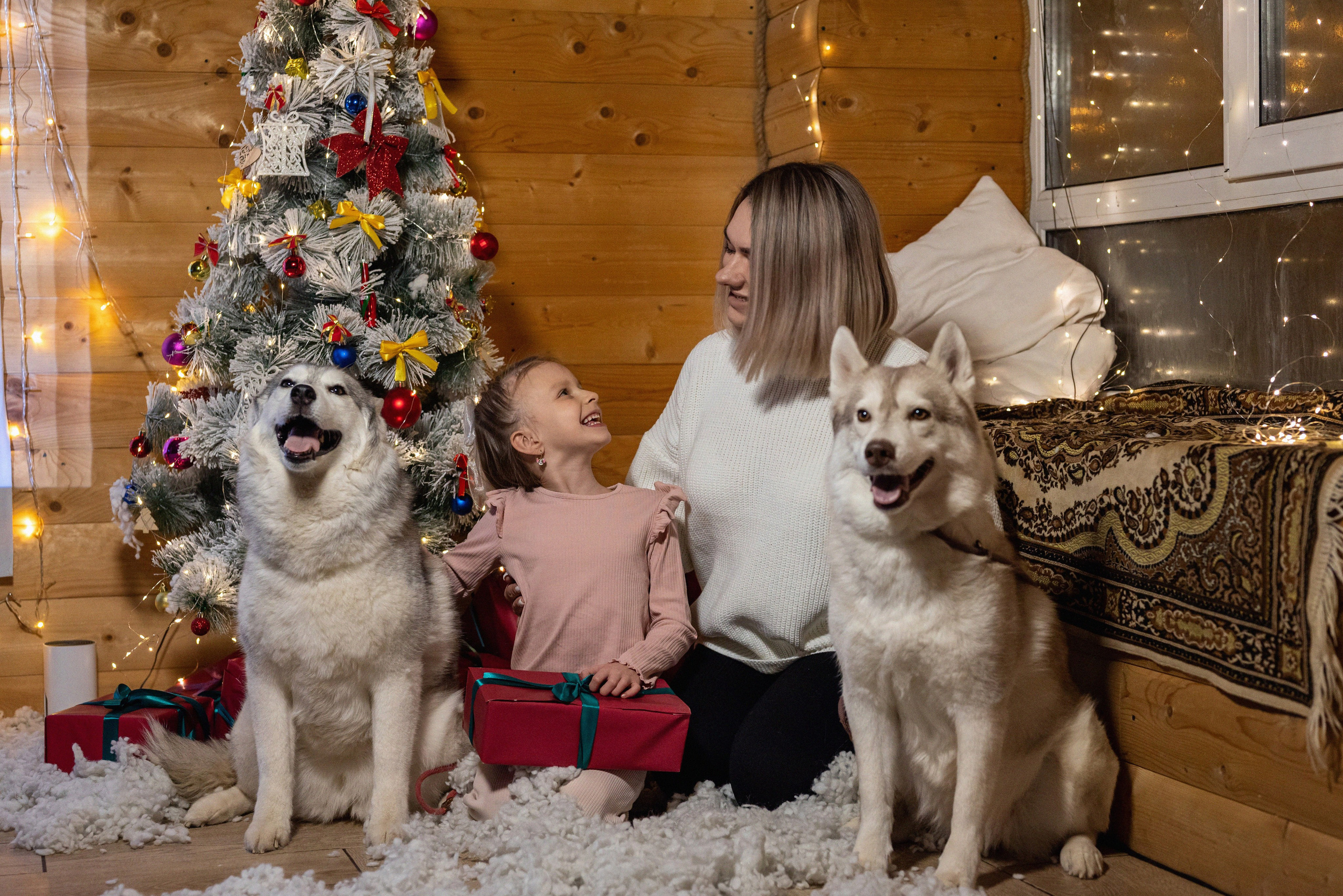 Фотопроект с хаски 2024 г. Фотограф в городе Салават