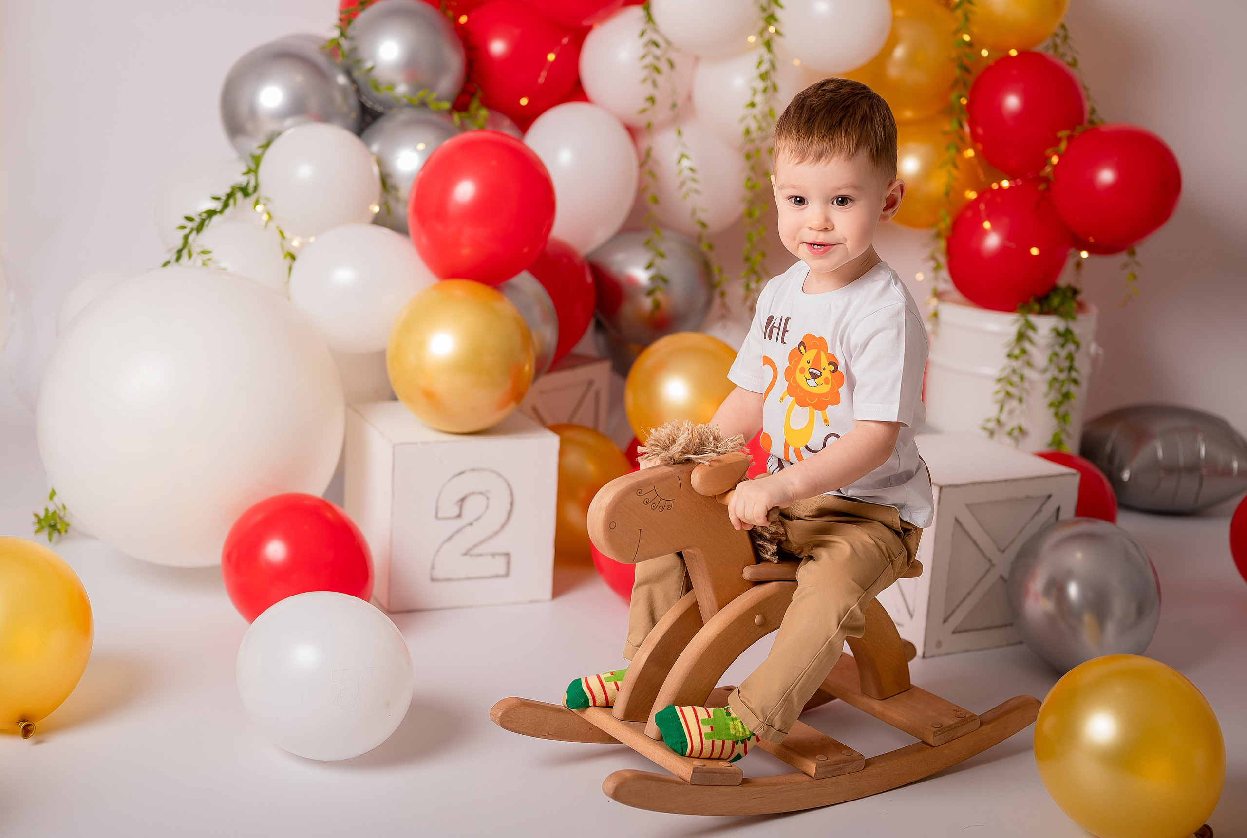 Лев. 2 годика. Детский и семейный фотограф в Красноярске. Фотосессии новорожденных малышей до 1 месяца