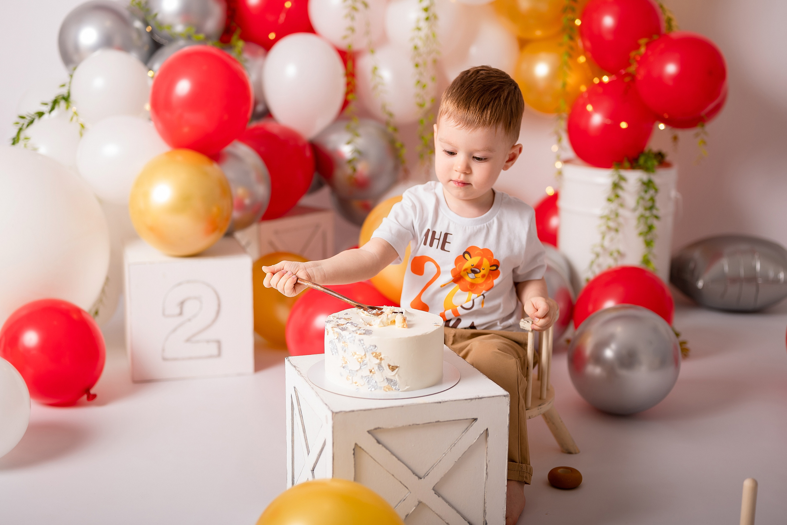 Лев. 2 годика. Детский и семейный фотограф в Красноярске. Фотосессии новорожденных малышей до 1 месяца