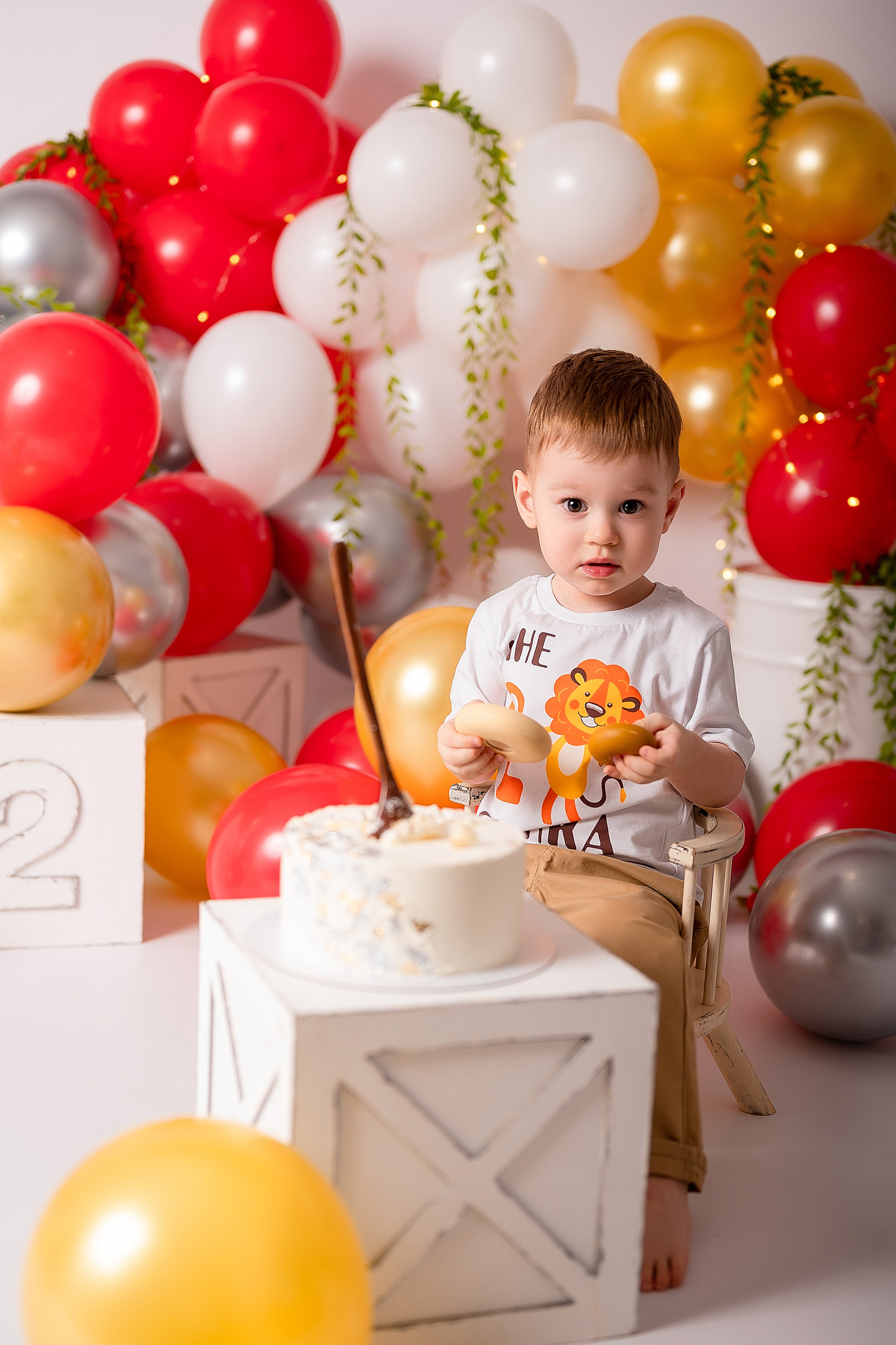 Лев. 2 годика. Детский и семейный фотограф в Красноярске. Фотосессии новорожденных малышей до 1 месяца