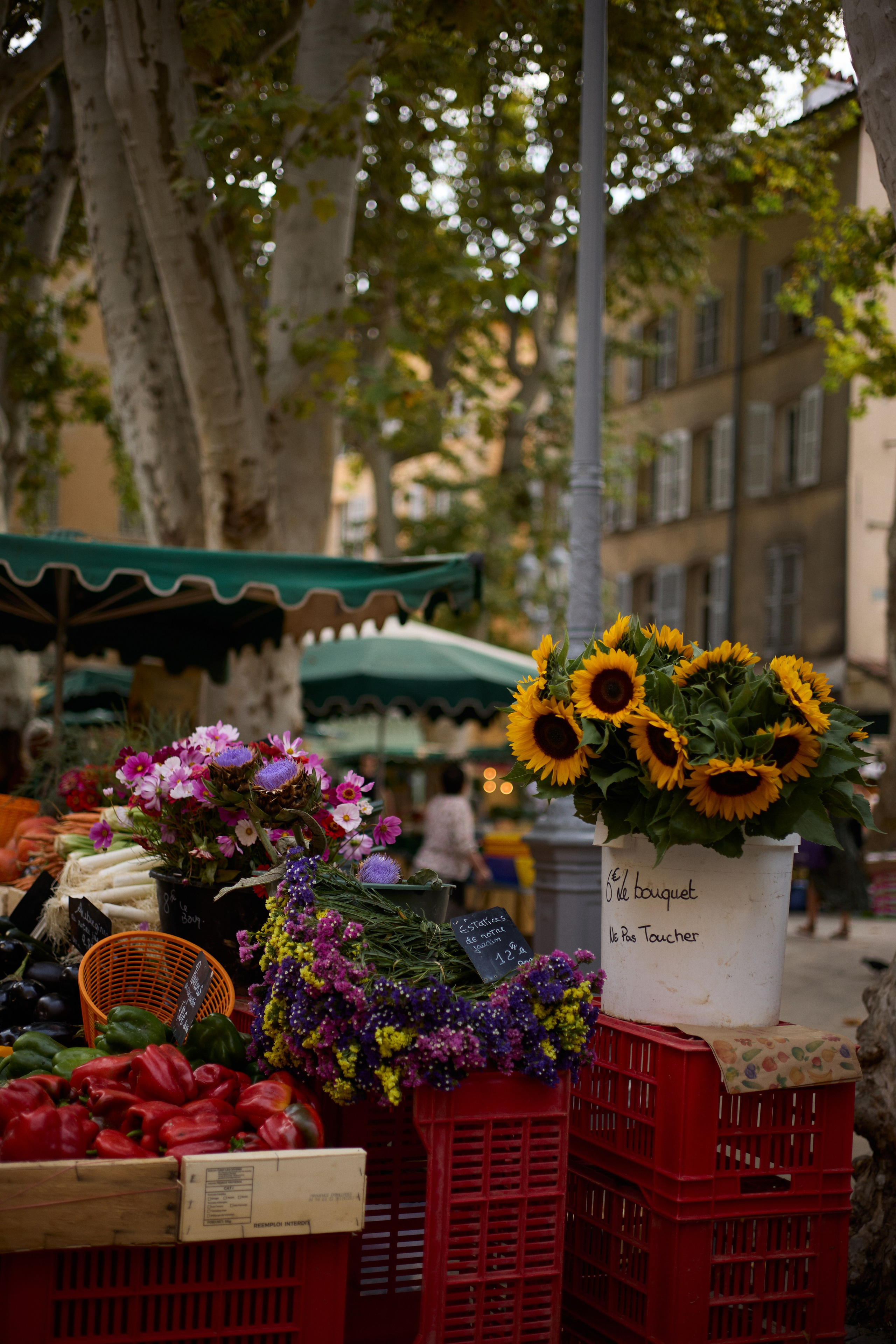 France (Provence & Paris) Sep'25. Анастасия Зобнинá — фотограф в Санкт-Петербурге/СПб