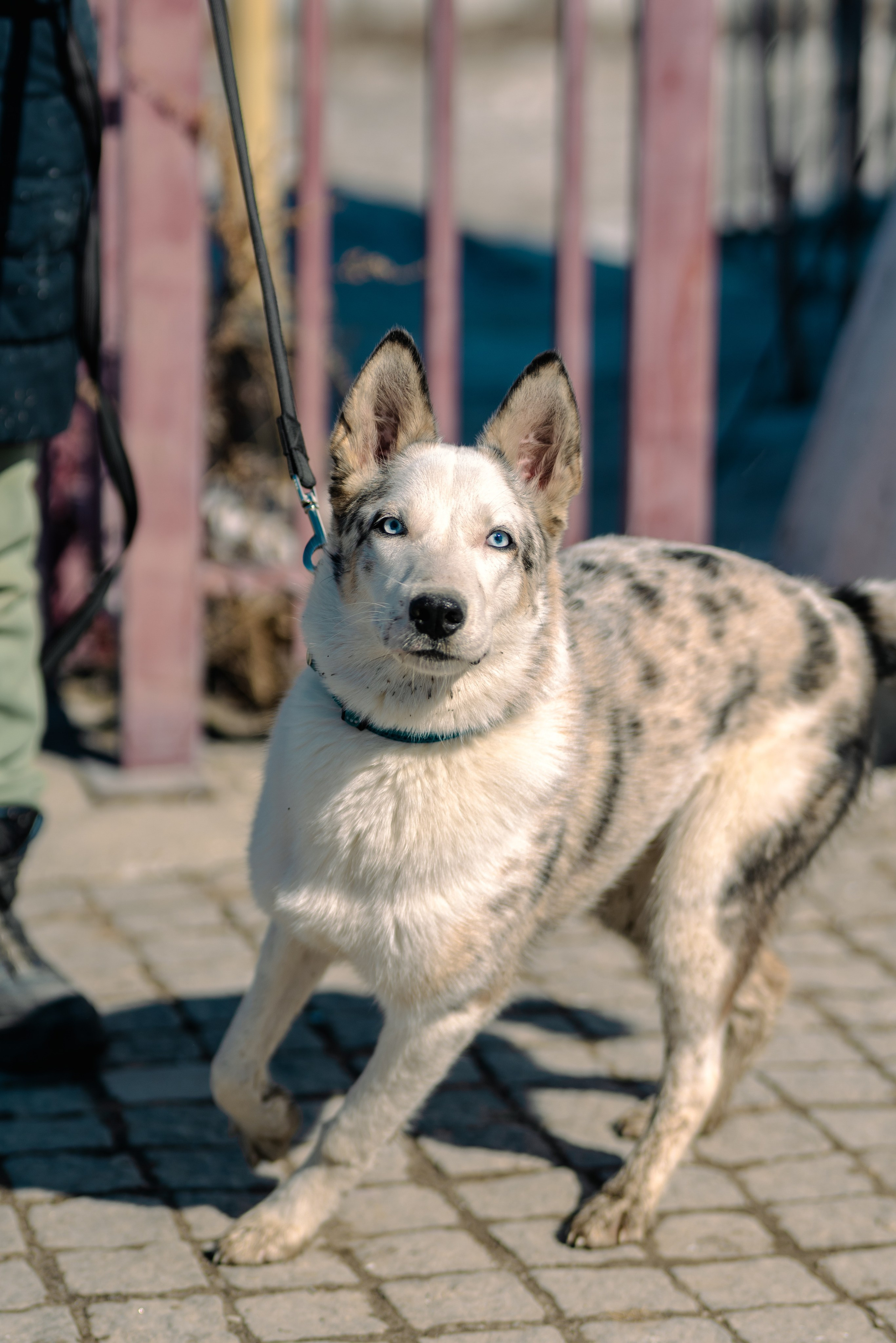 Якутск, Апрель 2024