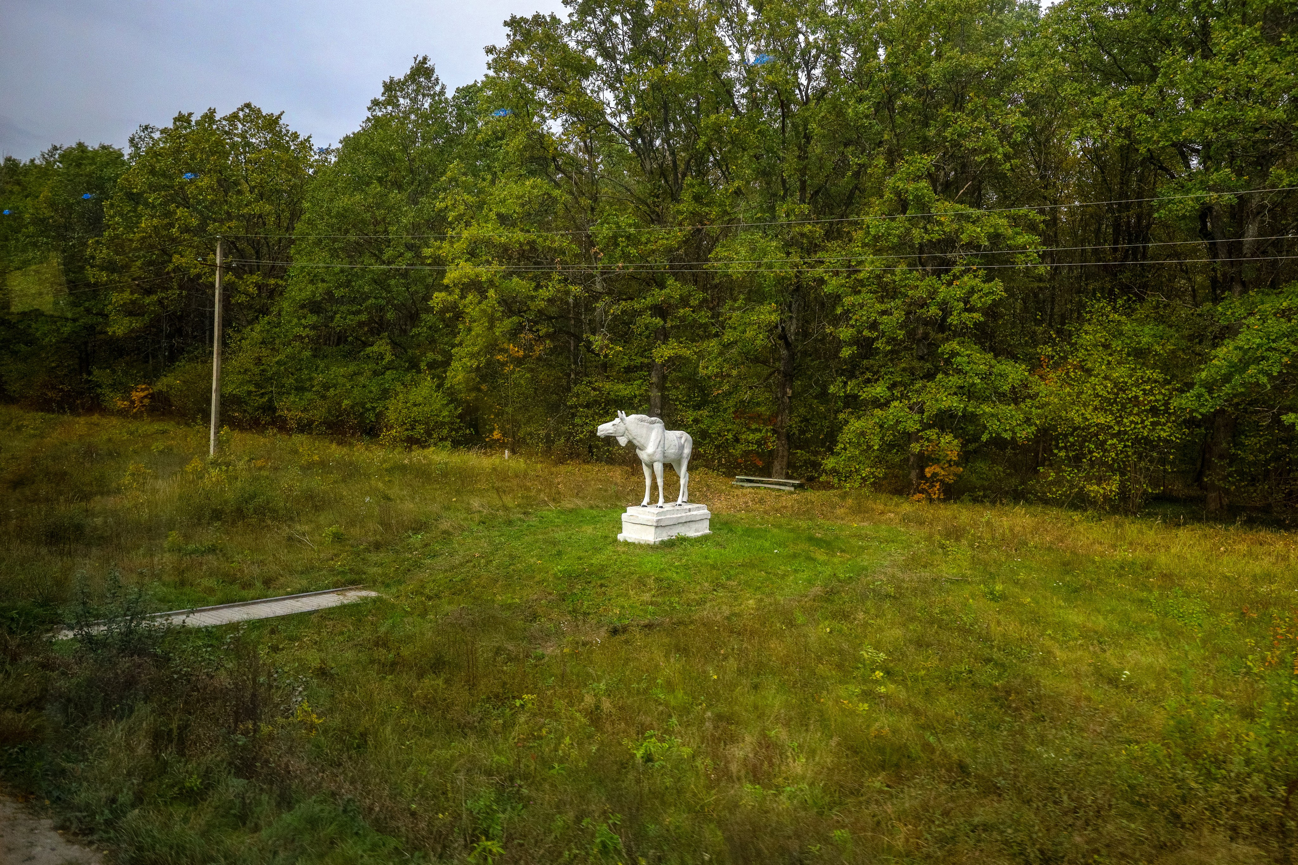Поездка в Белев и на производство пастилы. Фотограф в Туле Крупский АнДРей. Фотостудия «КАДР71» в Туле