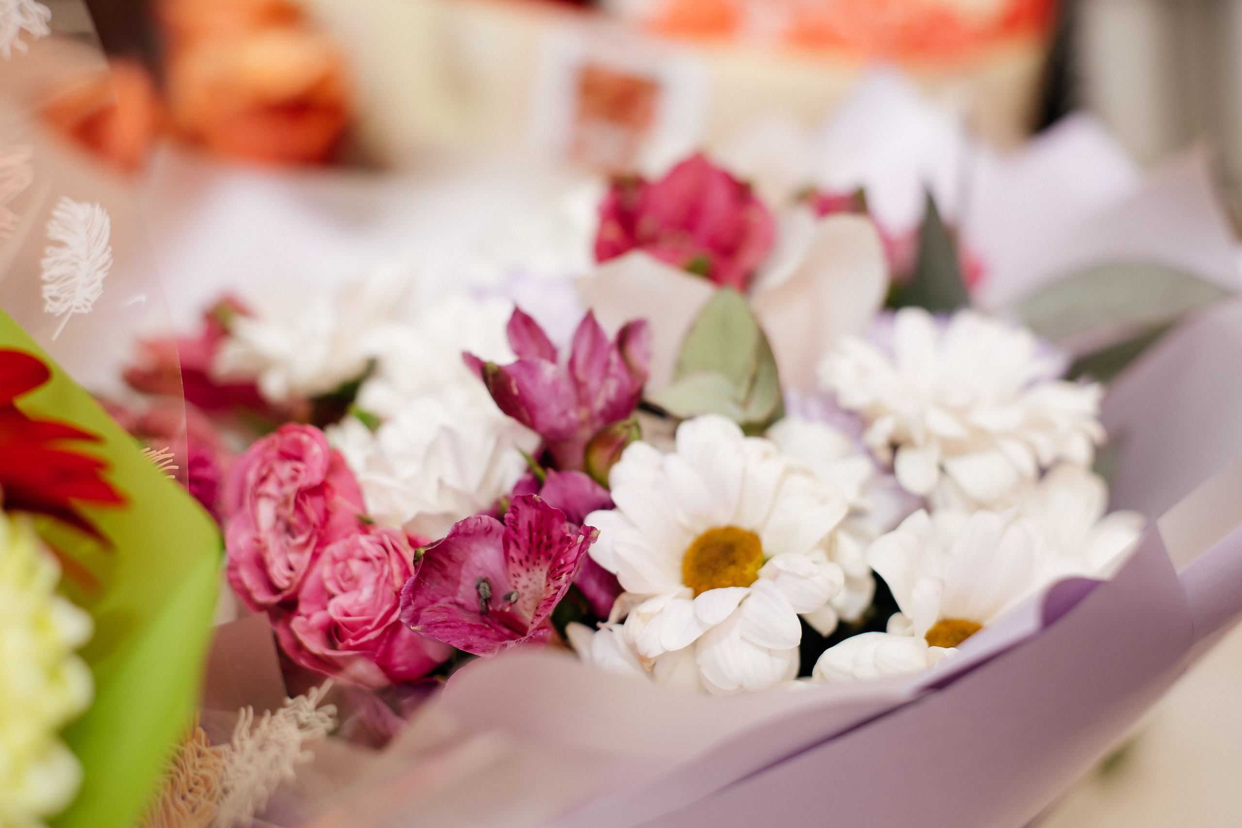 Юбилей 70. Фотограф в Иркутске