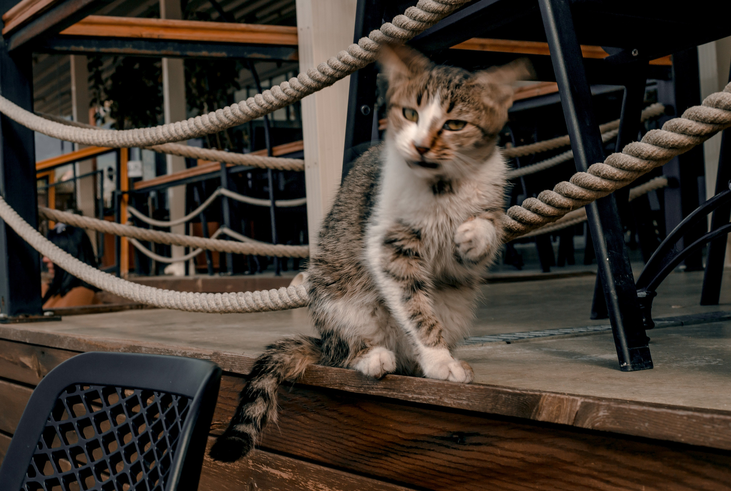 Turkey, Alanya. Art Photographer