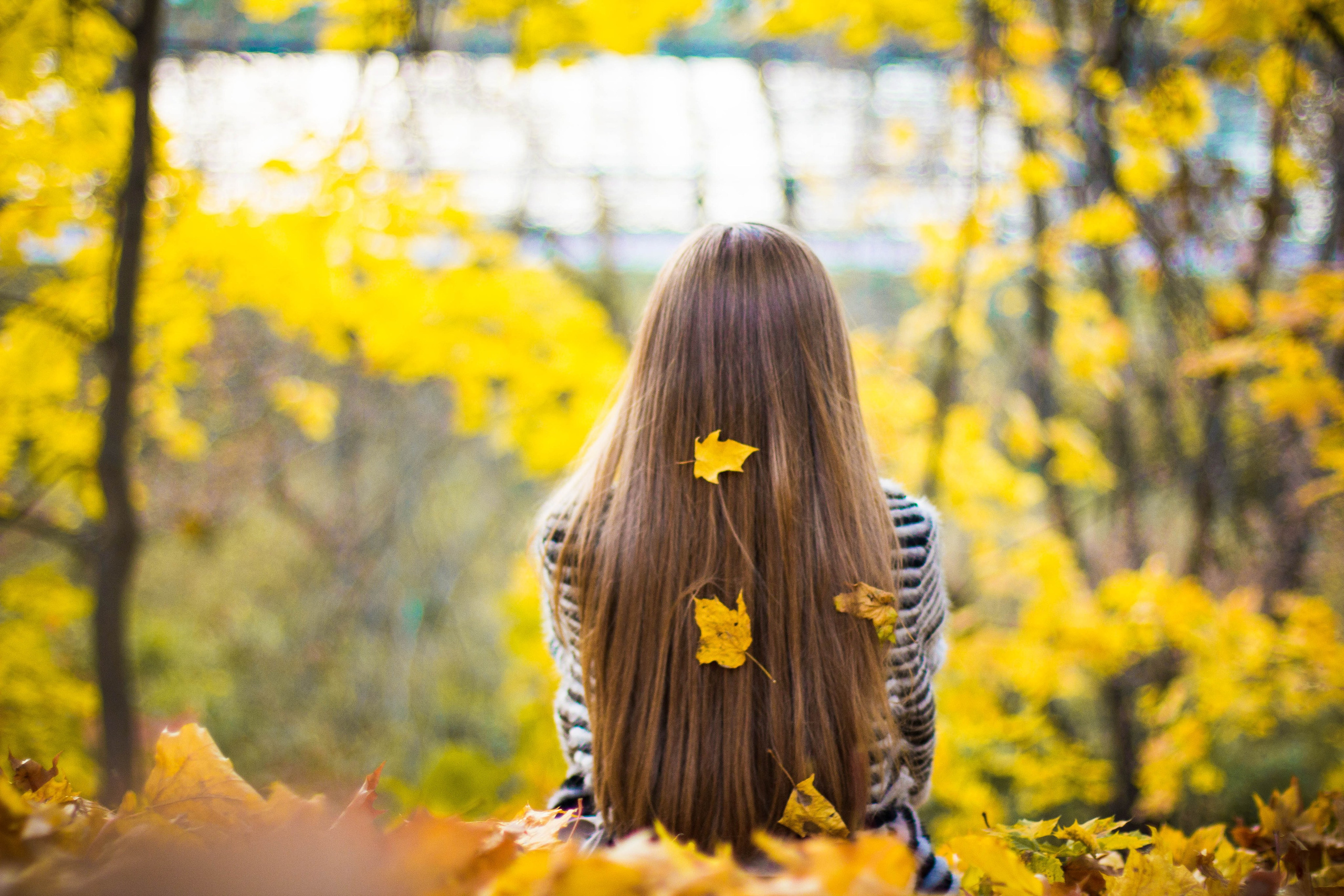 Прогулка осень Ховрино. Фотограф Москва Дылыкова Долгар