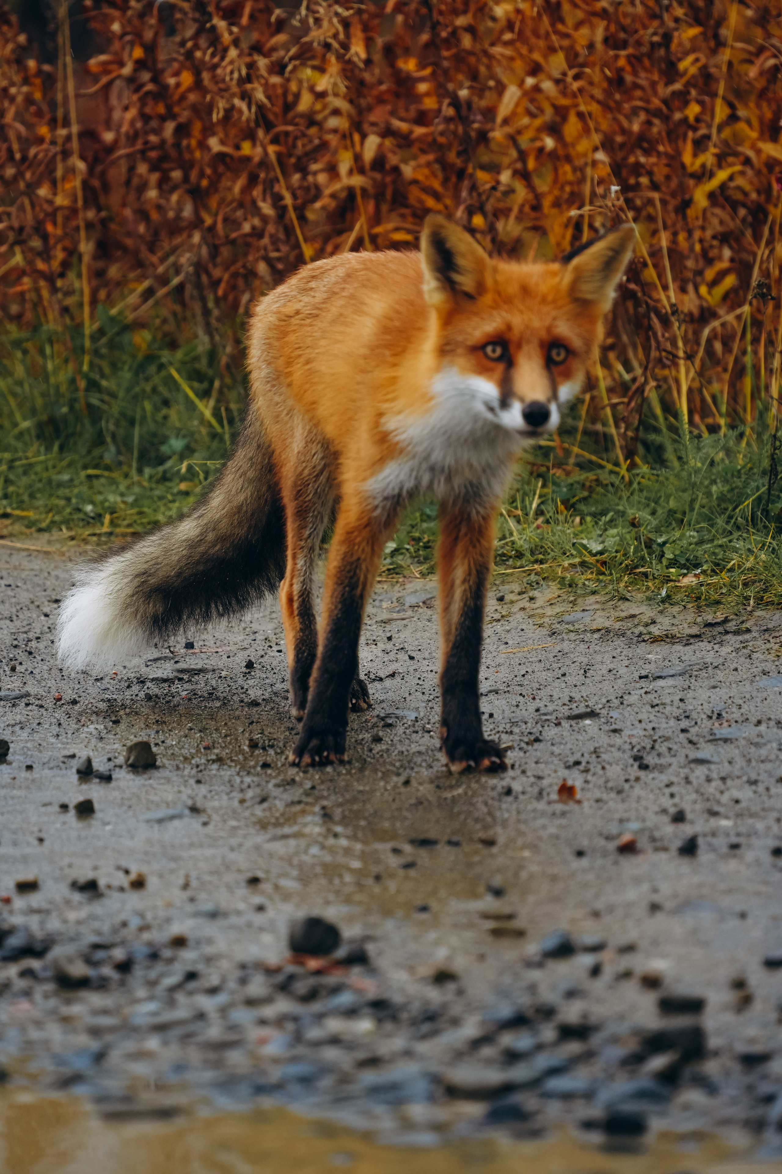 СЕВЕР. Event фотограф Степанова Александра