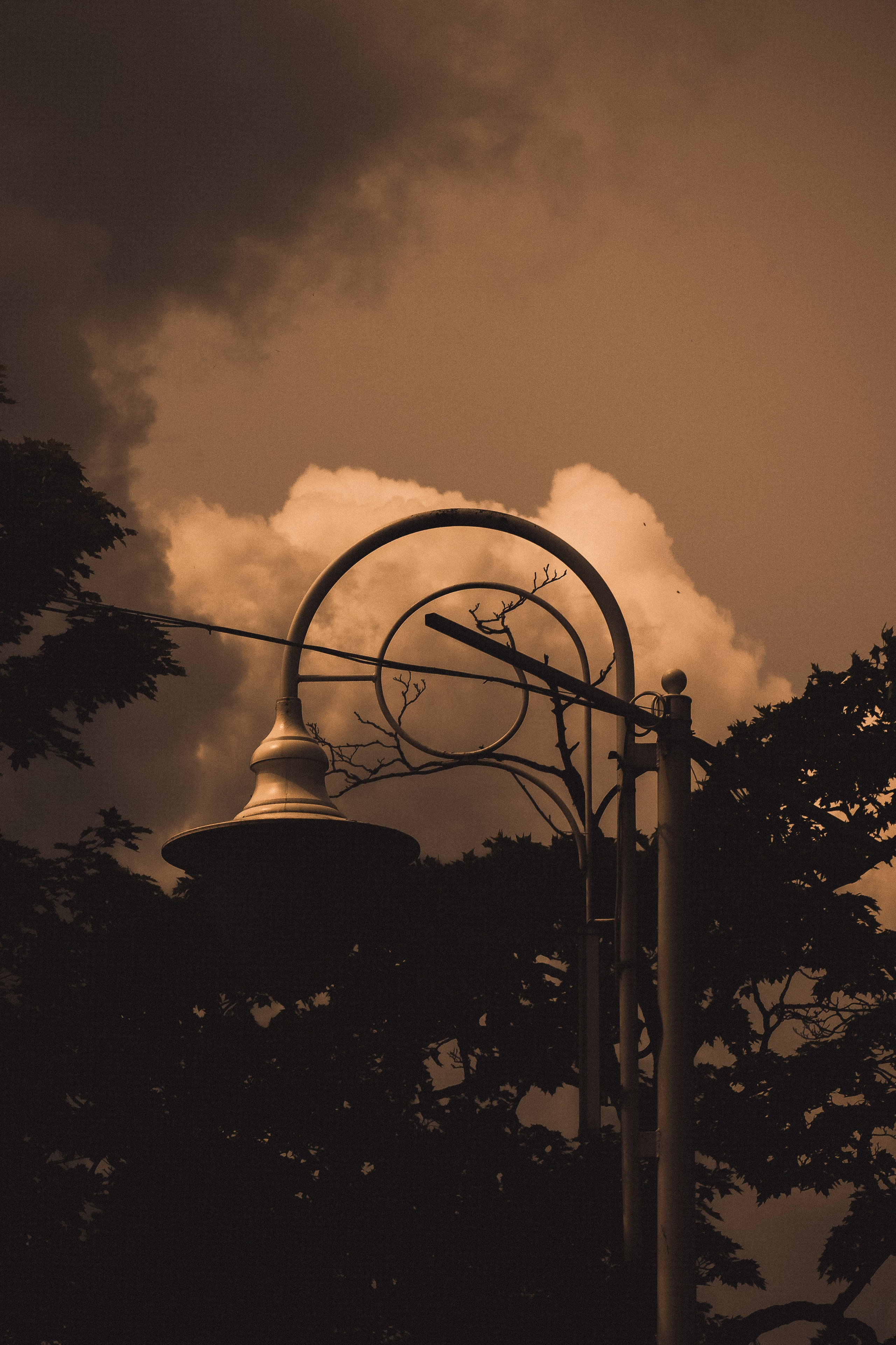 С Е П И Я. — Digital Noise —