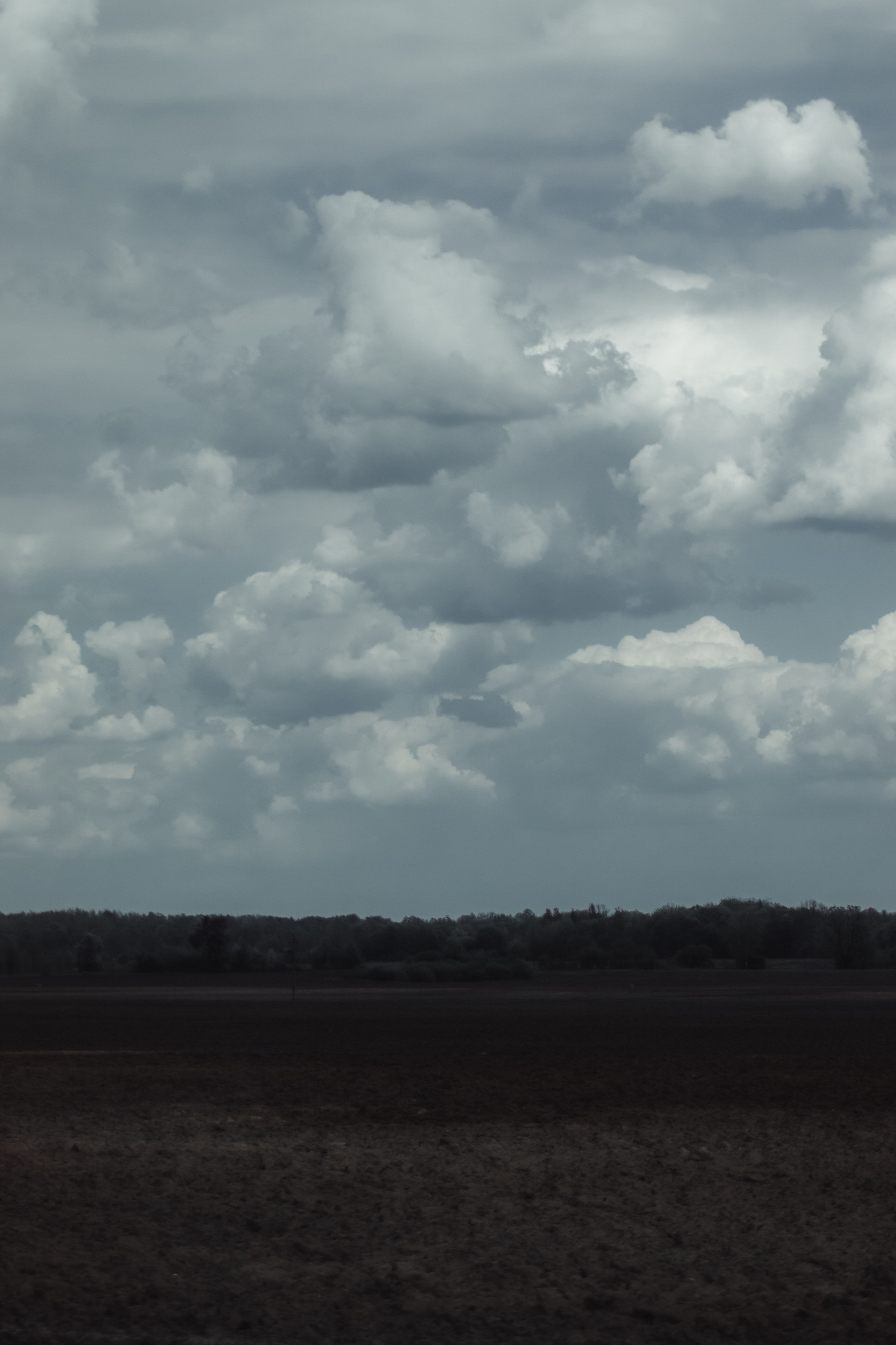 П Е Й З А Ж Н Ы Е. — Digital Noise —