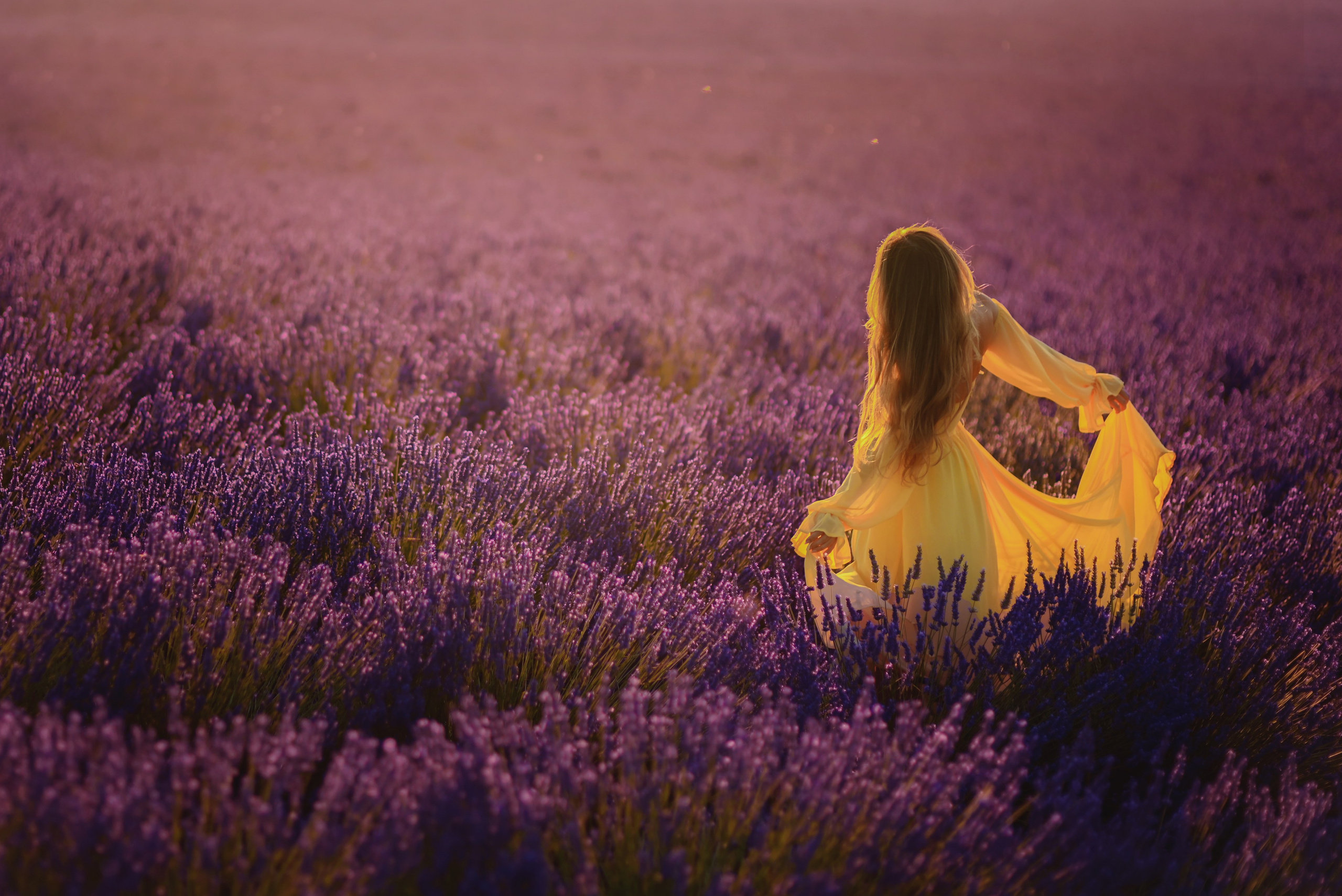 Lavender. Photographer in Provence Julia Lipiainen