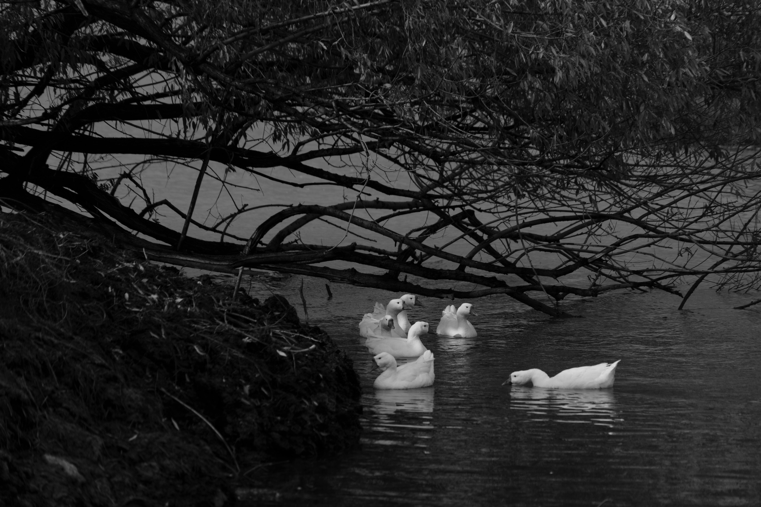 Бекстейдж сьемки кино. Профессиональная съемка в Алматы
