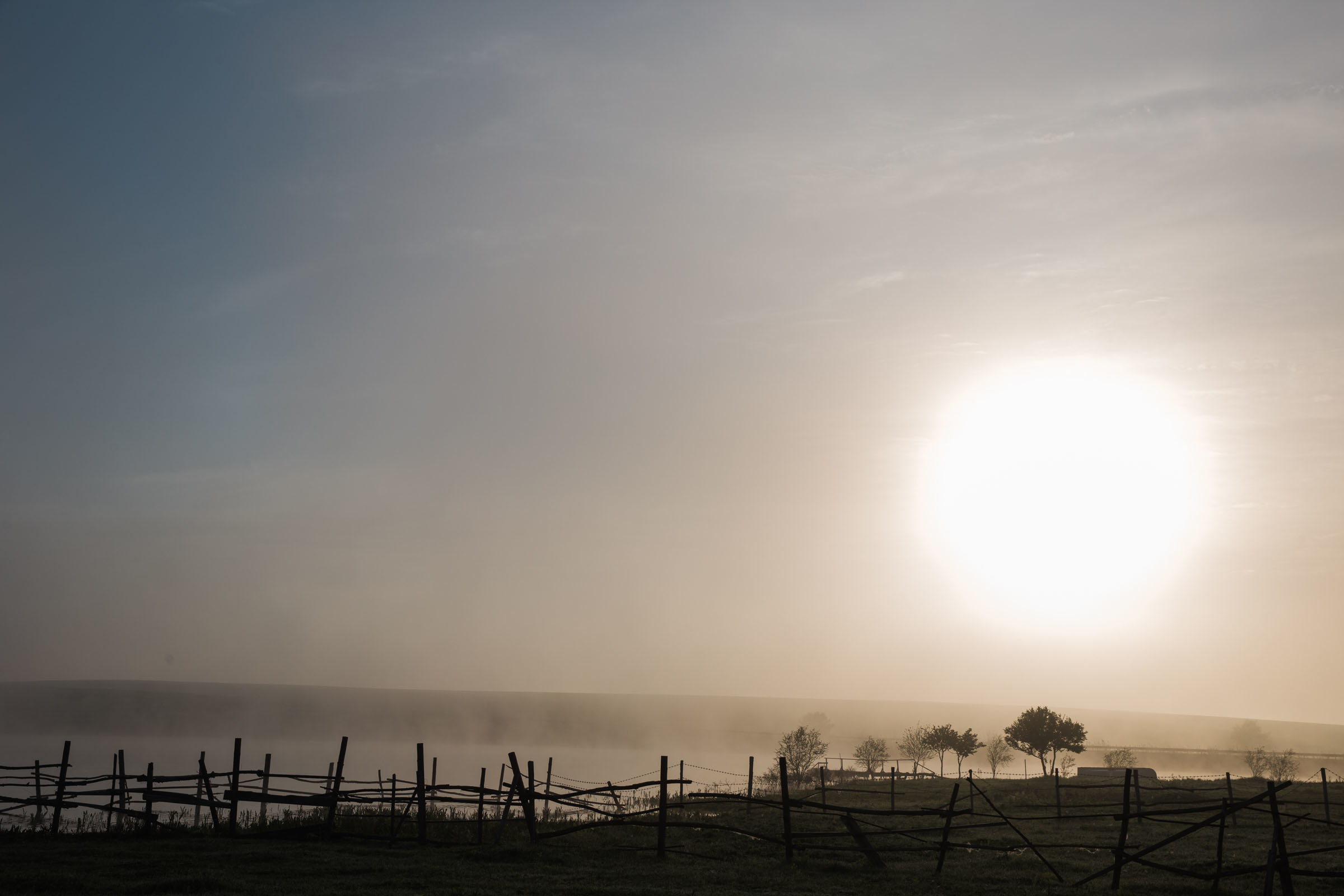 Лекарство от меланхолии //Даниил&Стефани. Фотограф Алутера Ирина