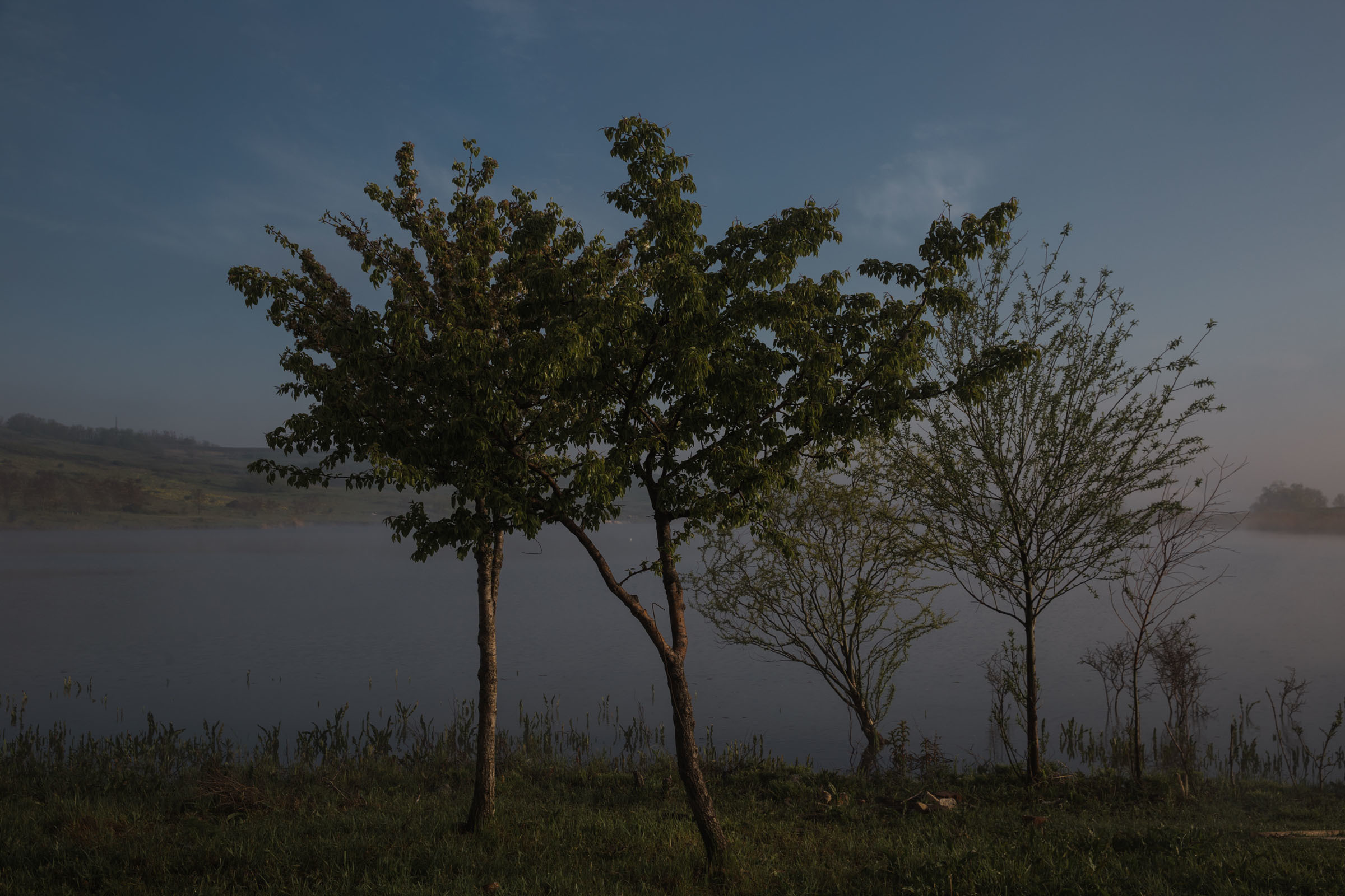 Лекарство от меланхолии //Даниил&Стефани. Фотограф Алутера Ирина