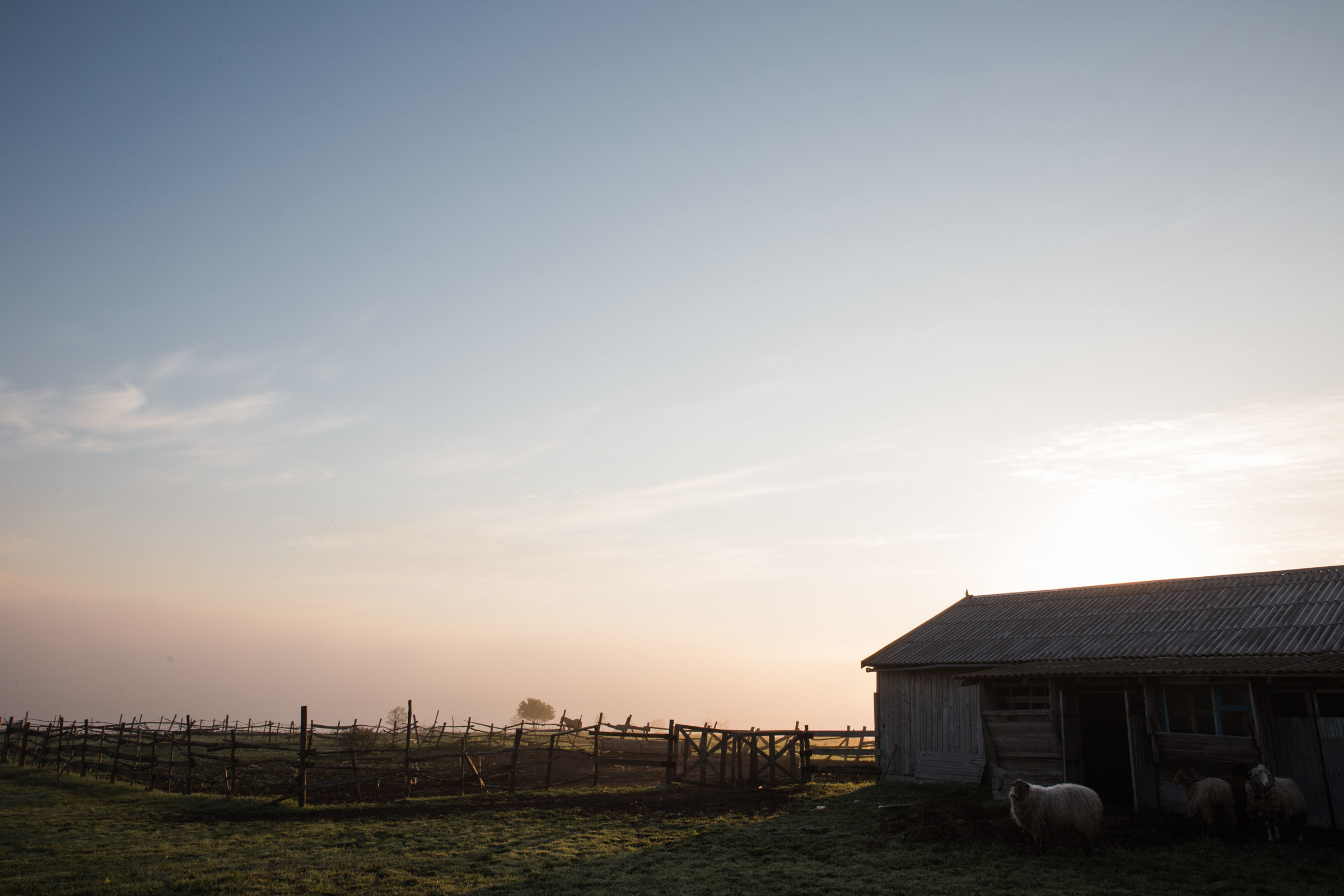 Лекарство от меланхолии //Даниил&Стефани. Фотограф Алутера Ирина