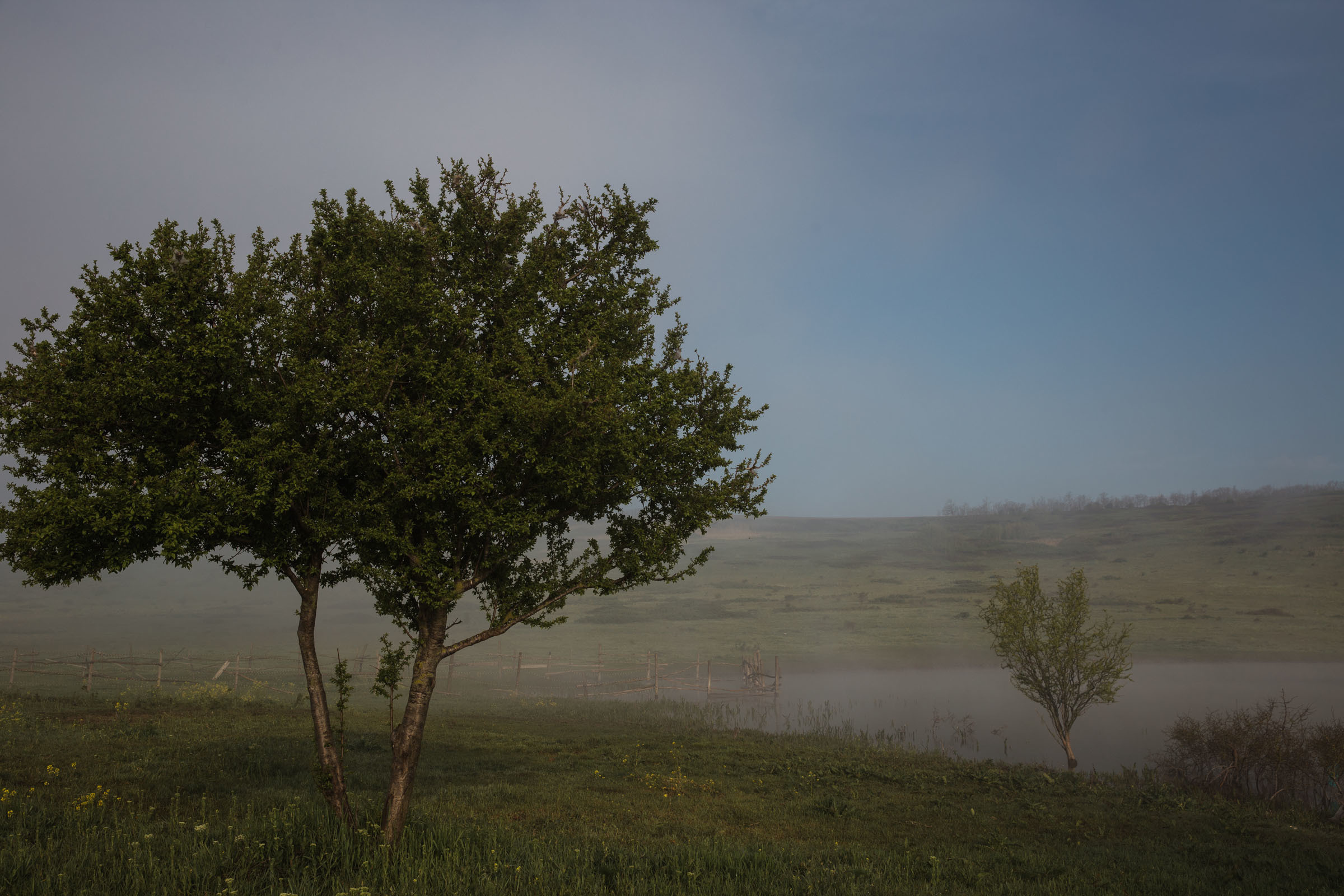 Лекарство от меланхолии //Даниил&Стефани. Фотограф Алутера Ирина