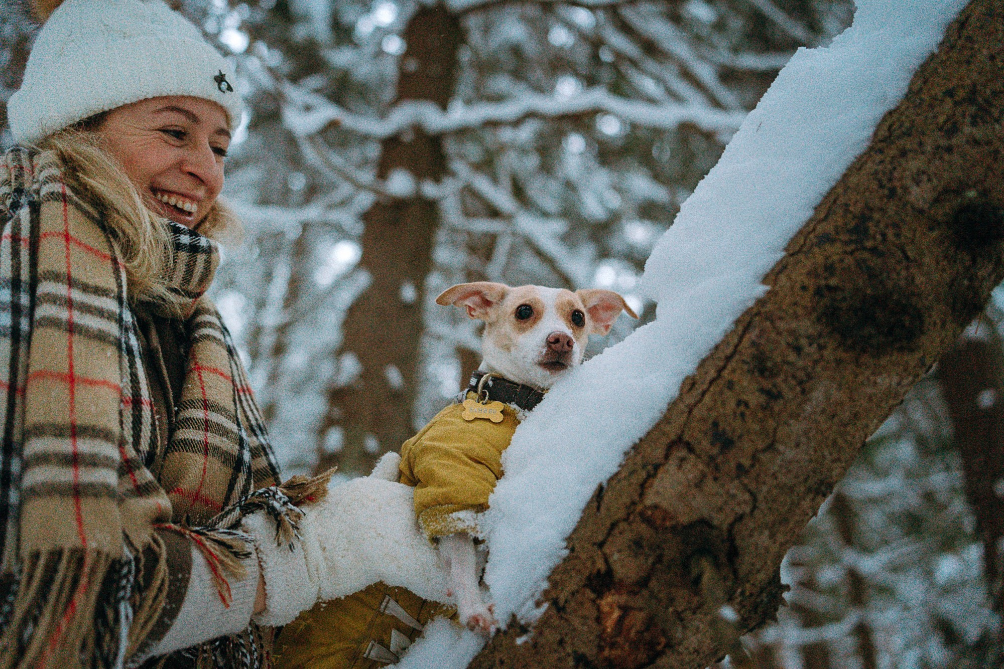 Алина, Ваниль и Элис. Фотограф анималист в Москве и Санкт-Петербурге Свиридова Анна