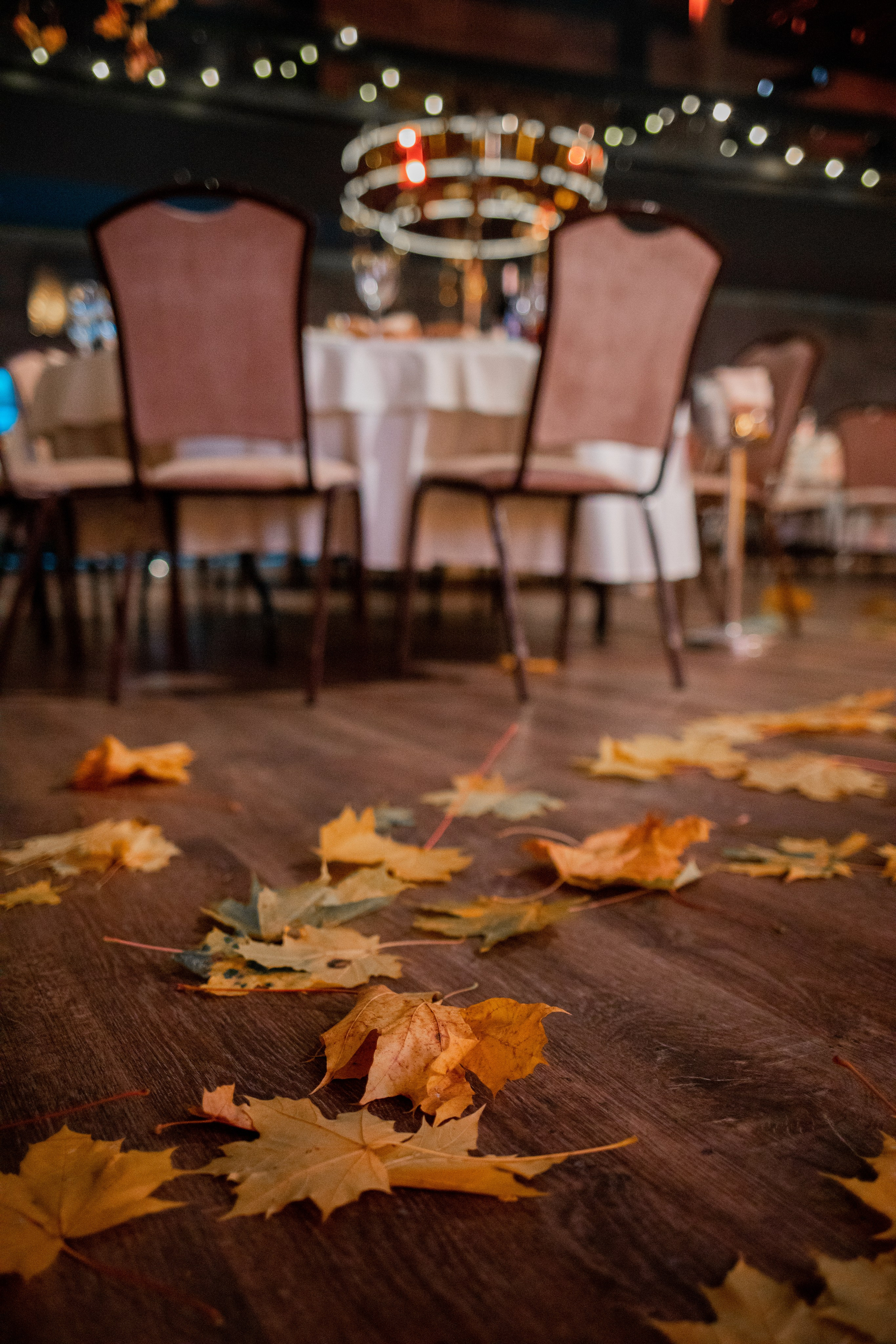 Адвокаты награждение. Семейный и детский фотограф в Москве Кузьмина Мария