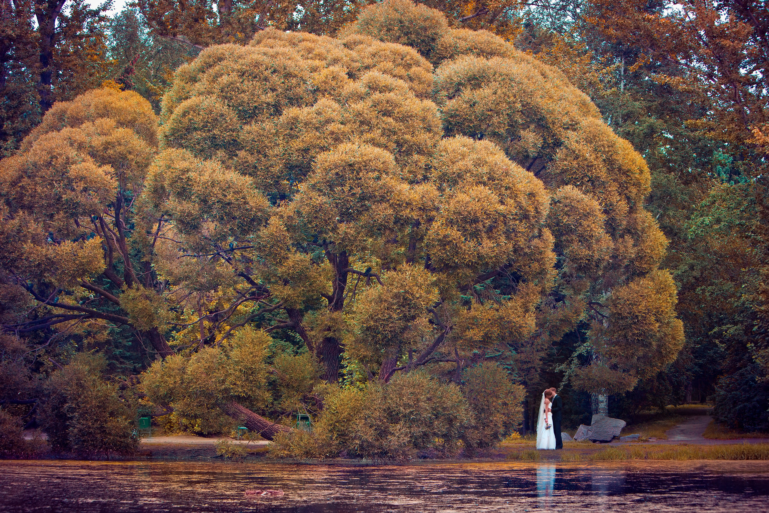 Свадебная съемка. Фотограф Константин Чувашов