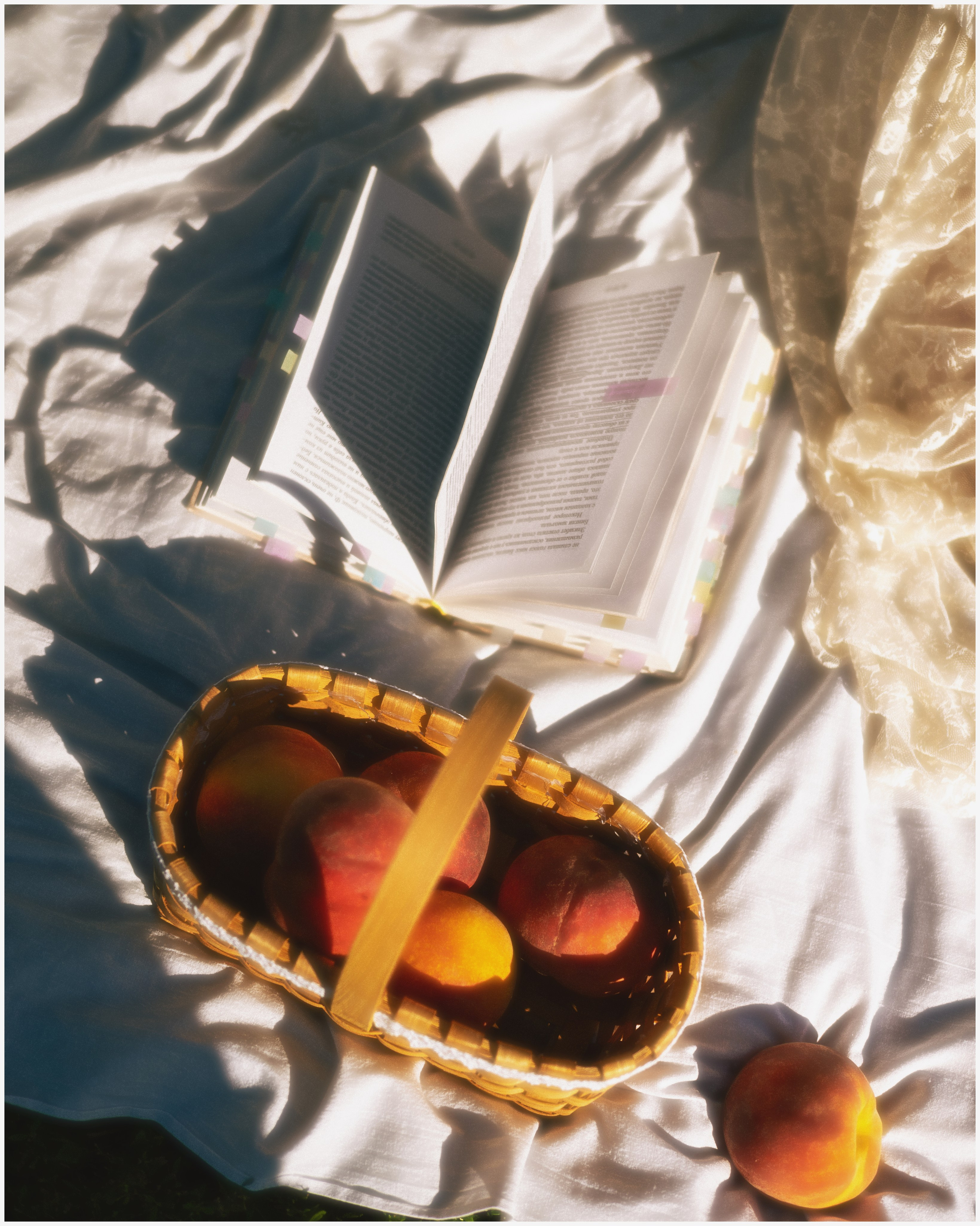 Алина. Фотограф Тула