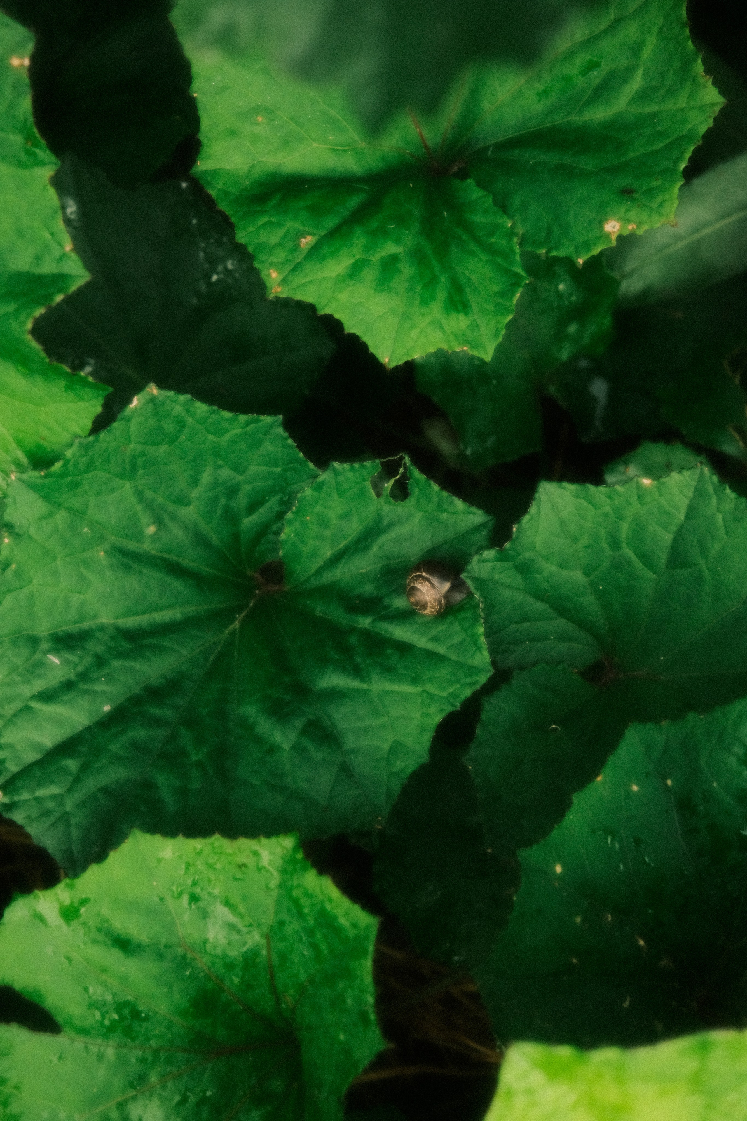 Невесомость. Портретный фотограф