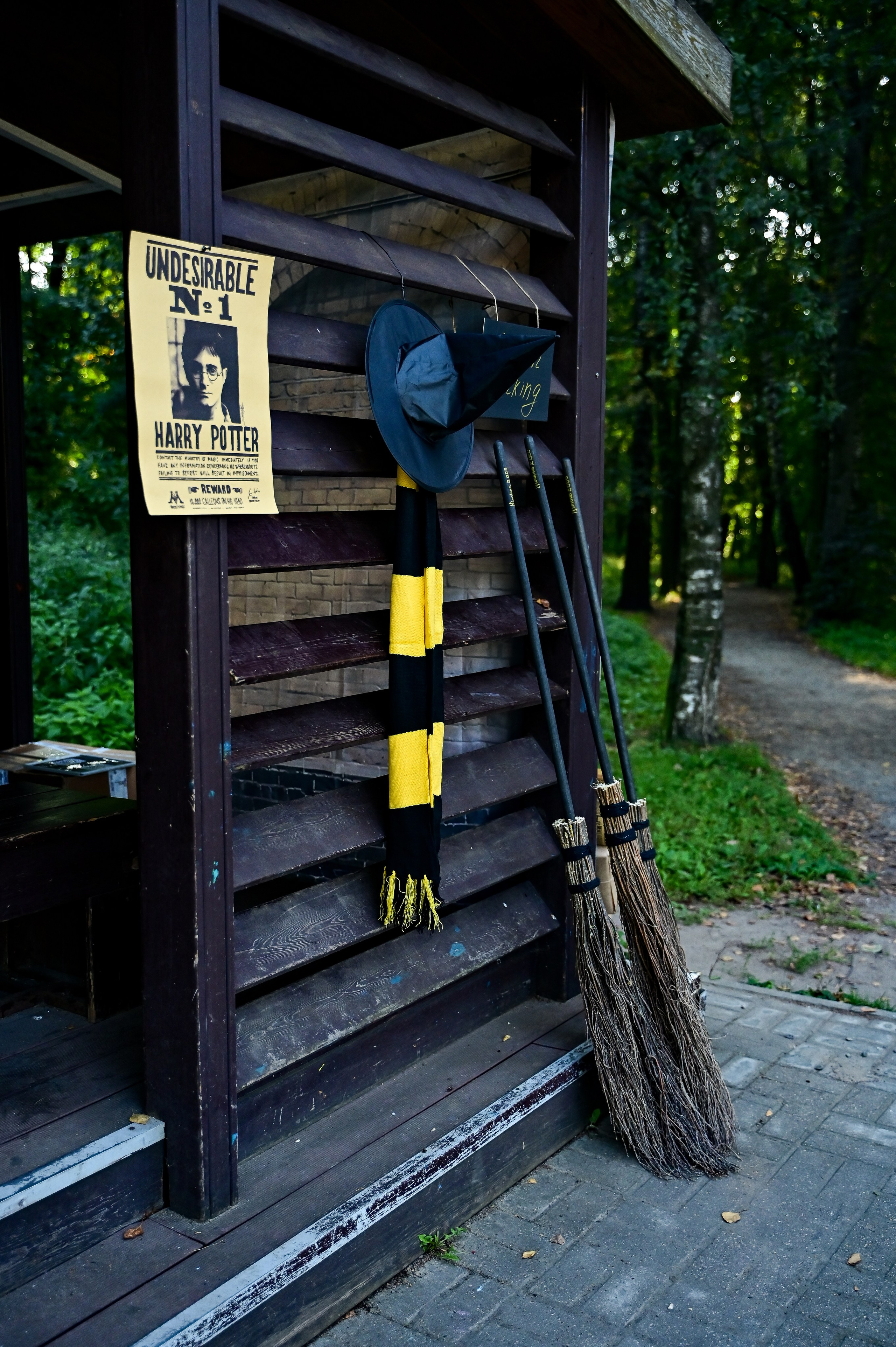 S95 Harry Potter Кузьминки (31.08.24). Фотограф | Ирина Гамзинова | Москва