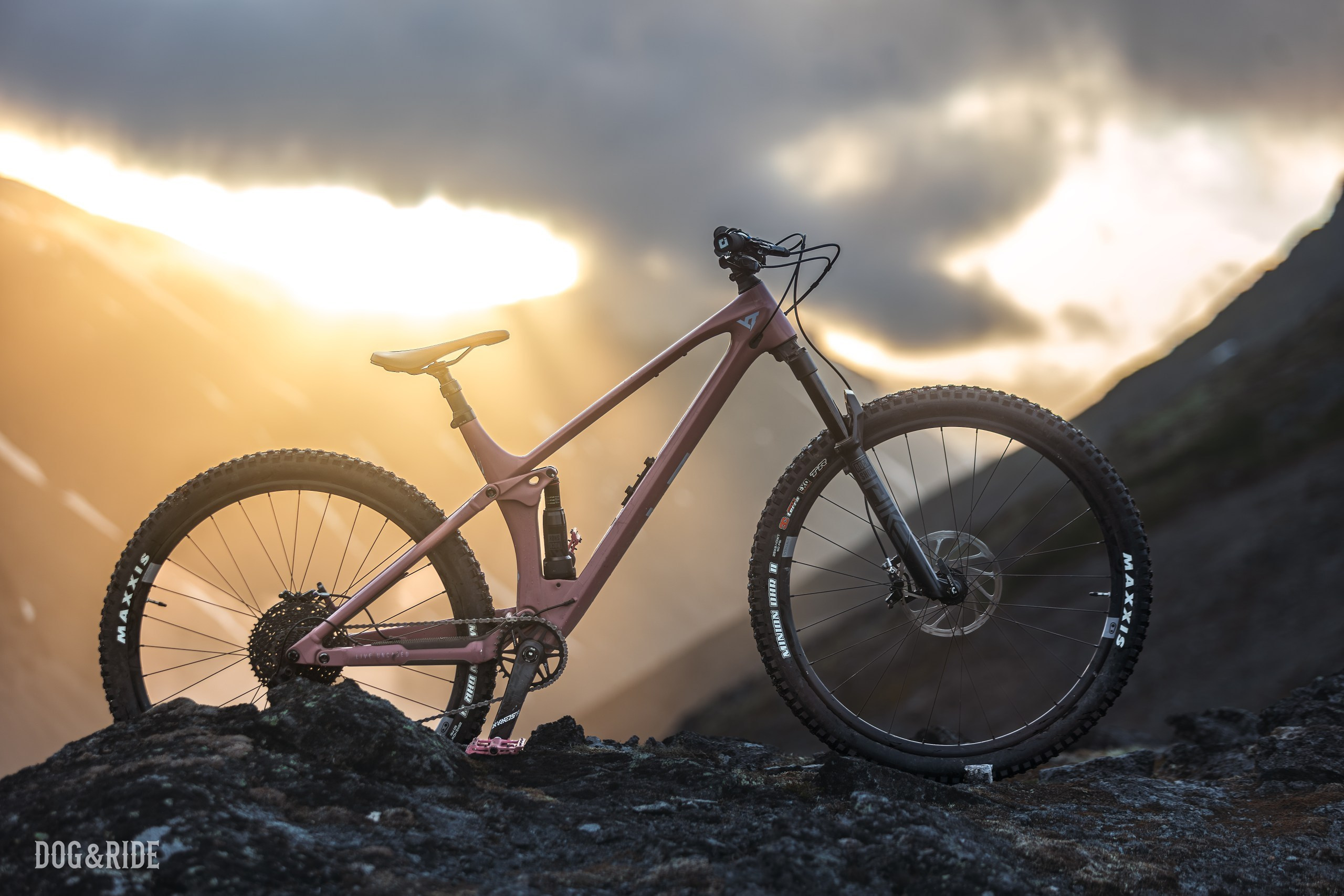 Хибины. Фотограф анималист Никита Натальный