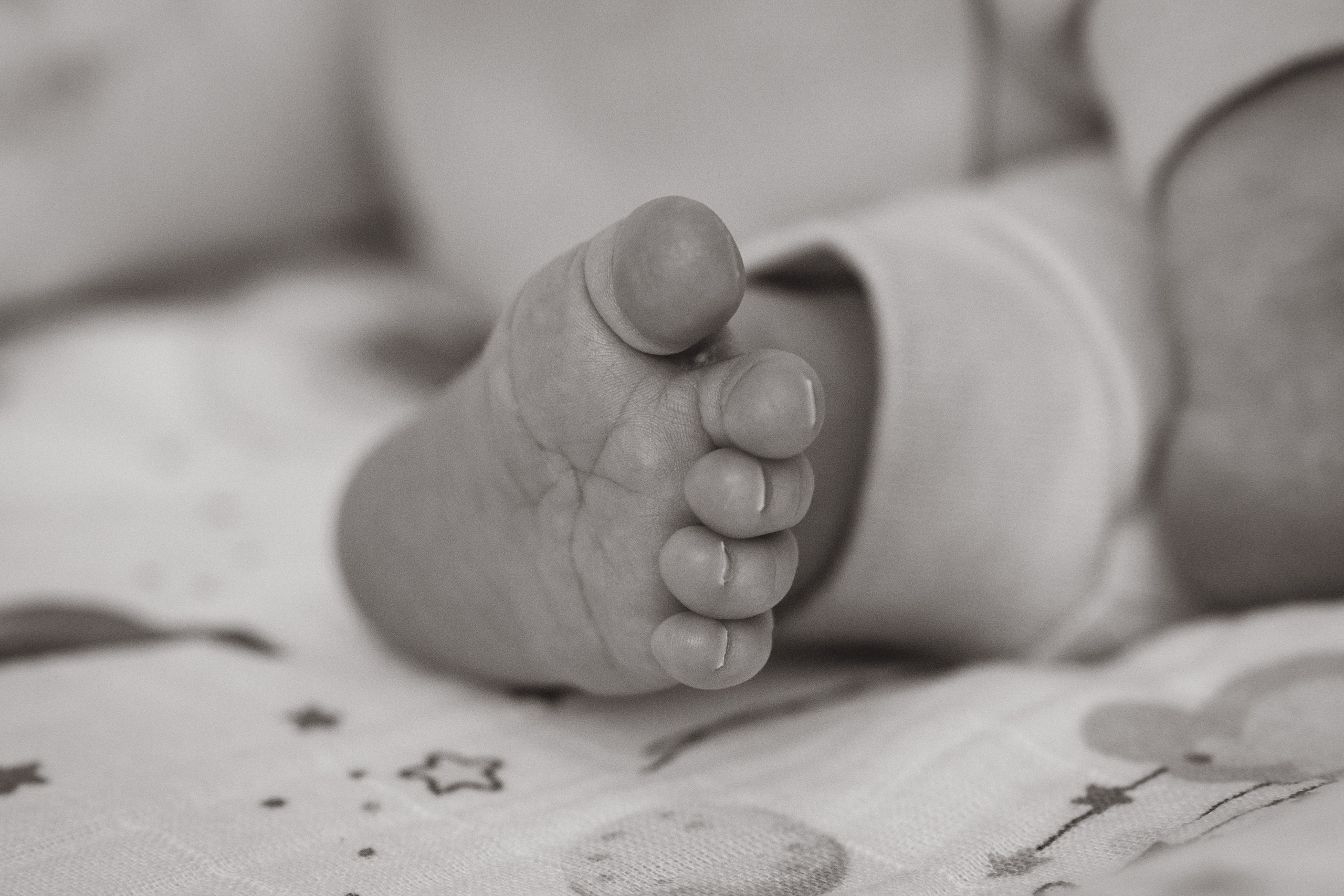 Александр, Мария и Павлуша